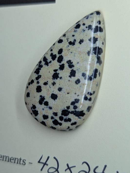 Dalmatian Jasper - Cabochon - Spotted Polish
