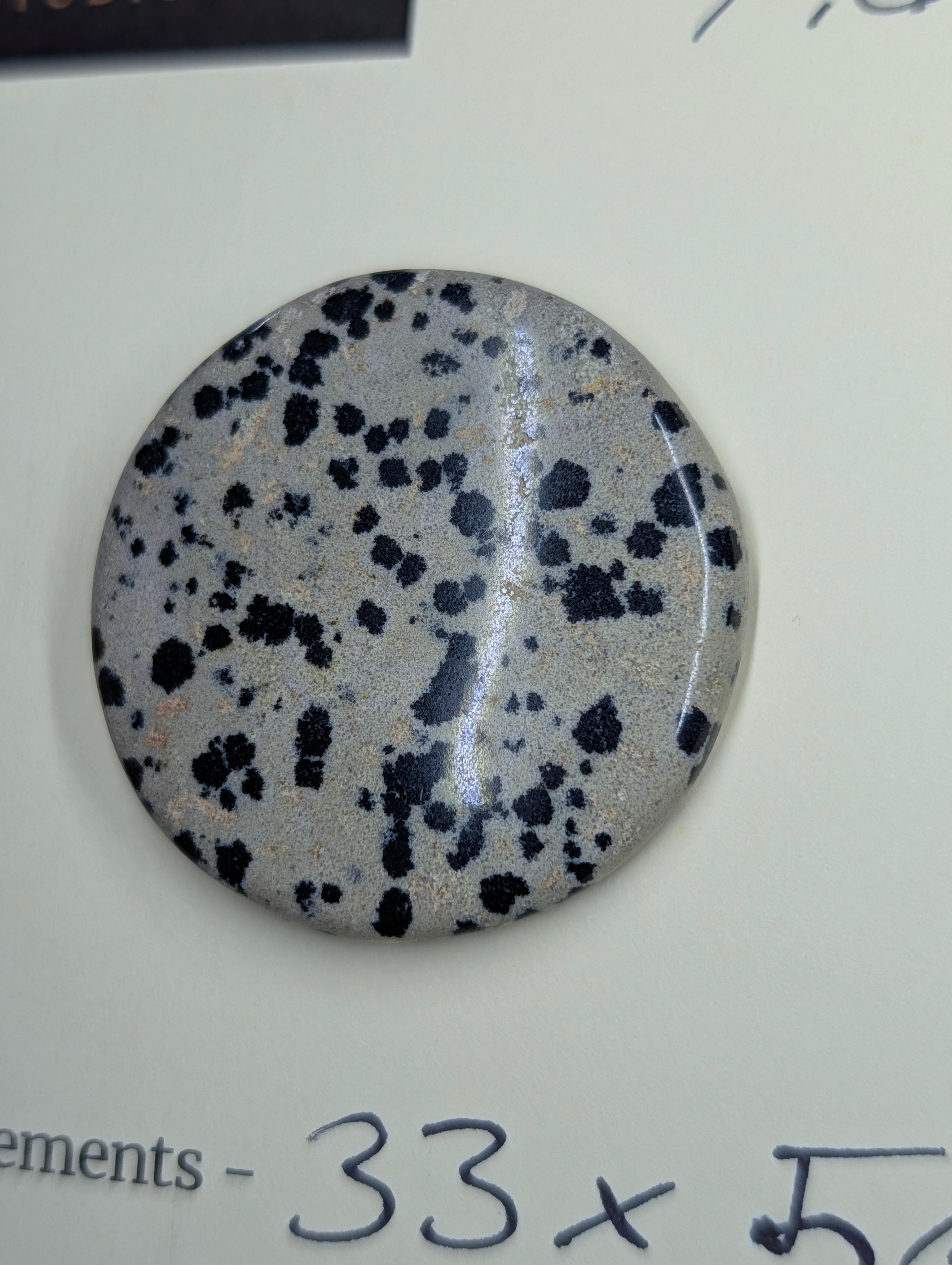 Dalmatian Jasper - Cabochon - Spotted Polish by Sacred Alchemy Studios