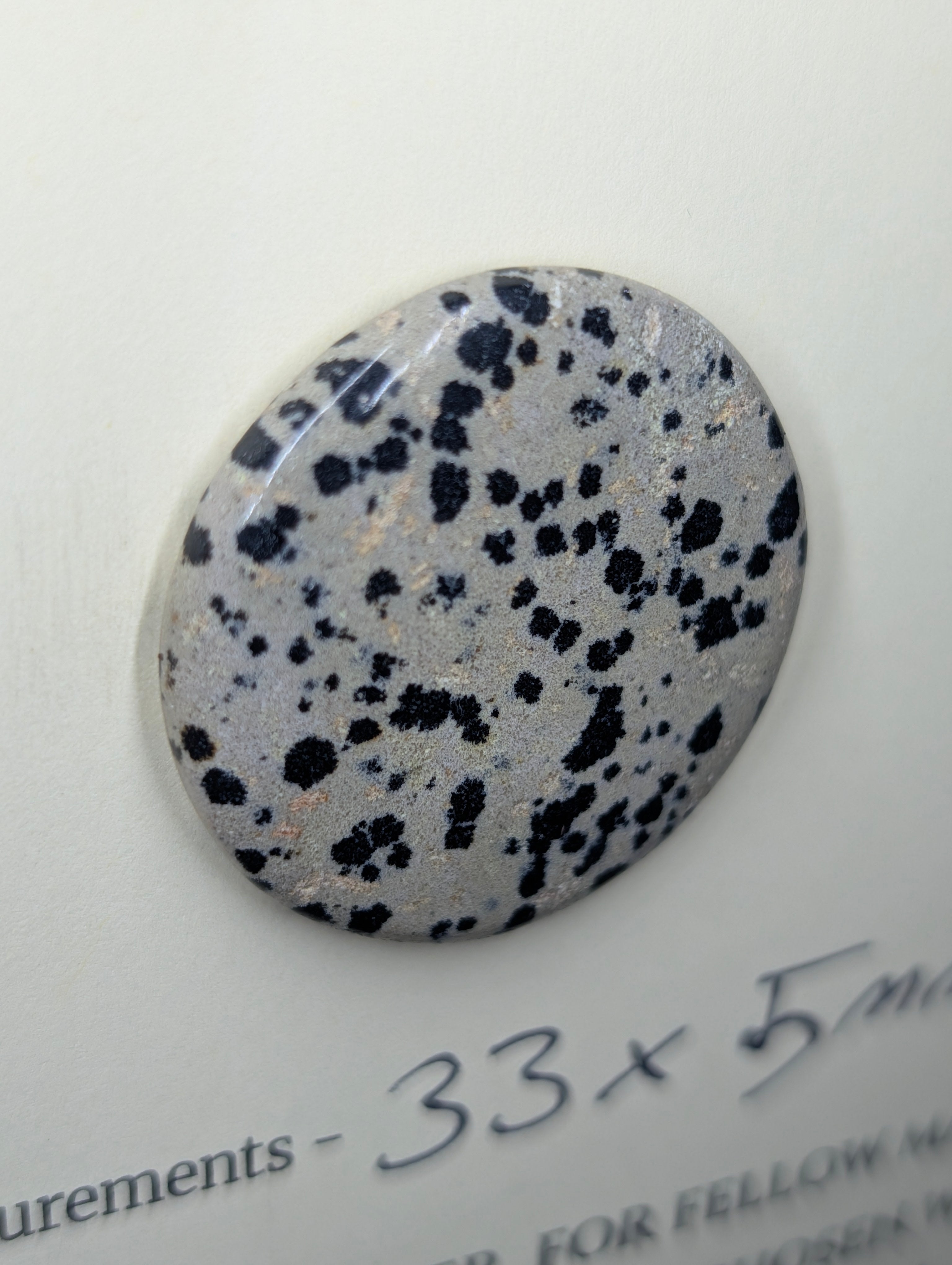 Dalmatian Jasper - Cabochon - Spotted Polish by Sacred Alchemy Studios