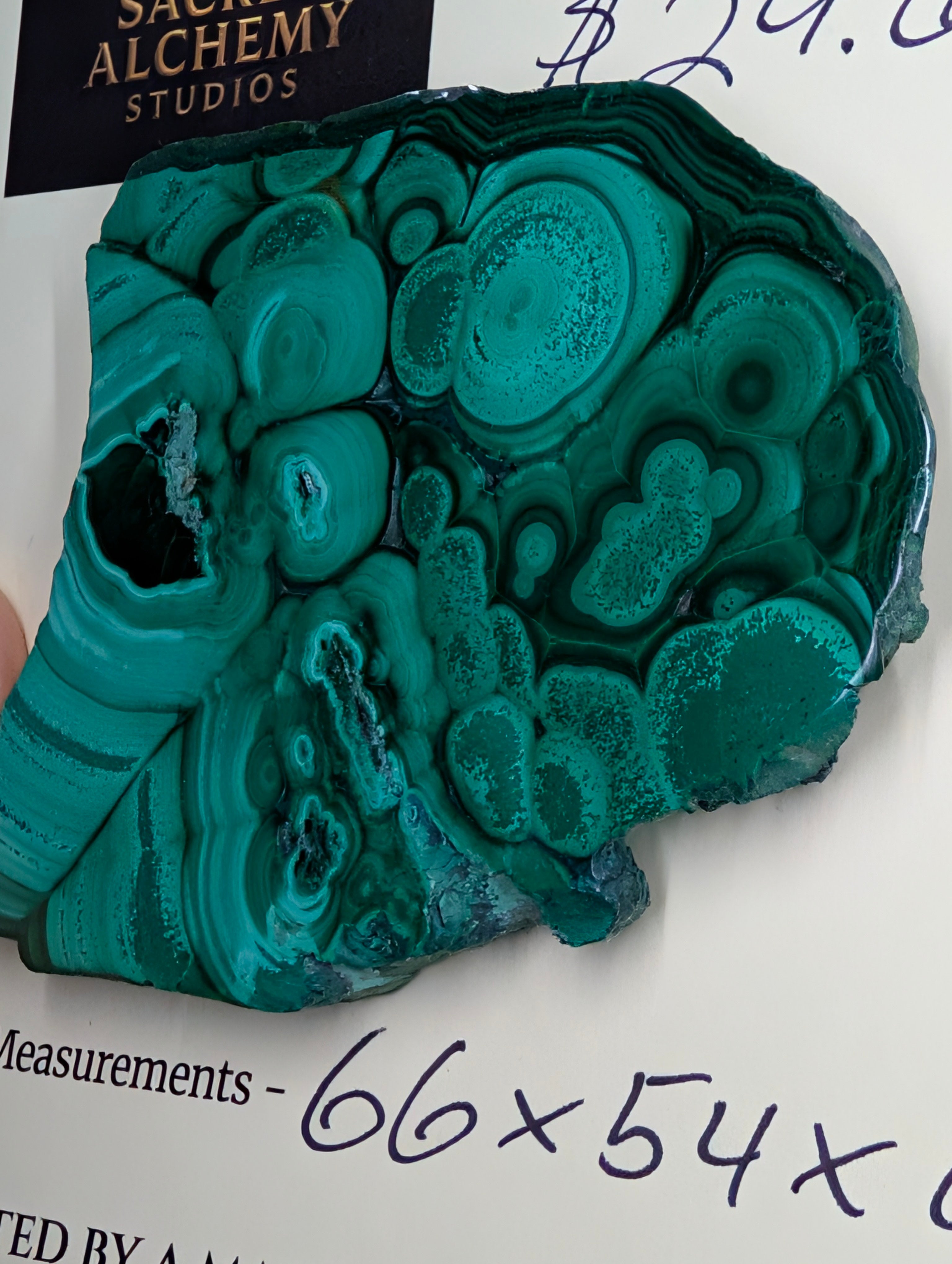 Malachite Cabochon - Polished 2 Sides by Sacred Alchemy Studios