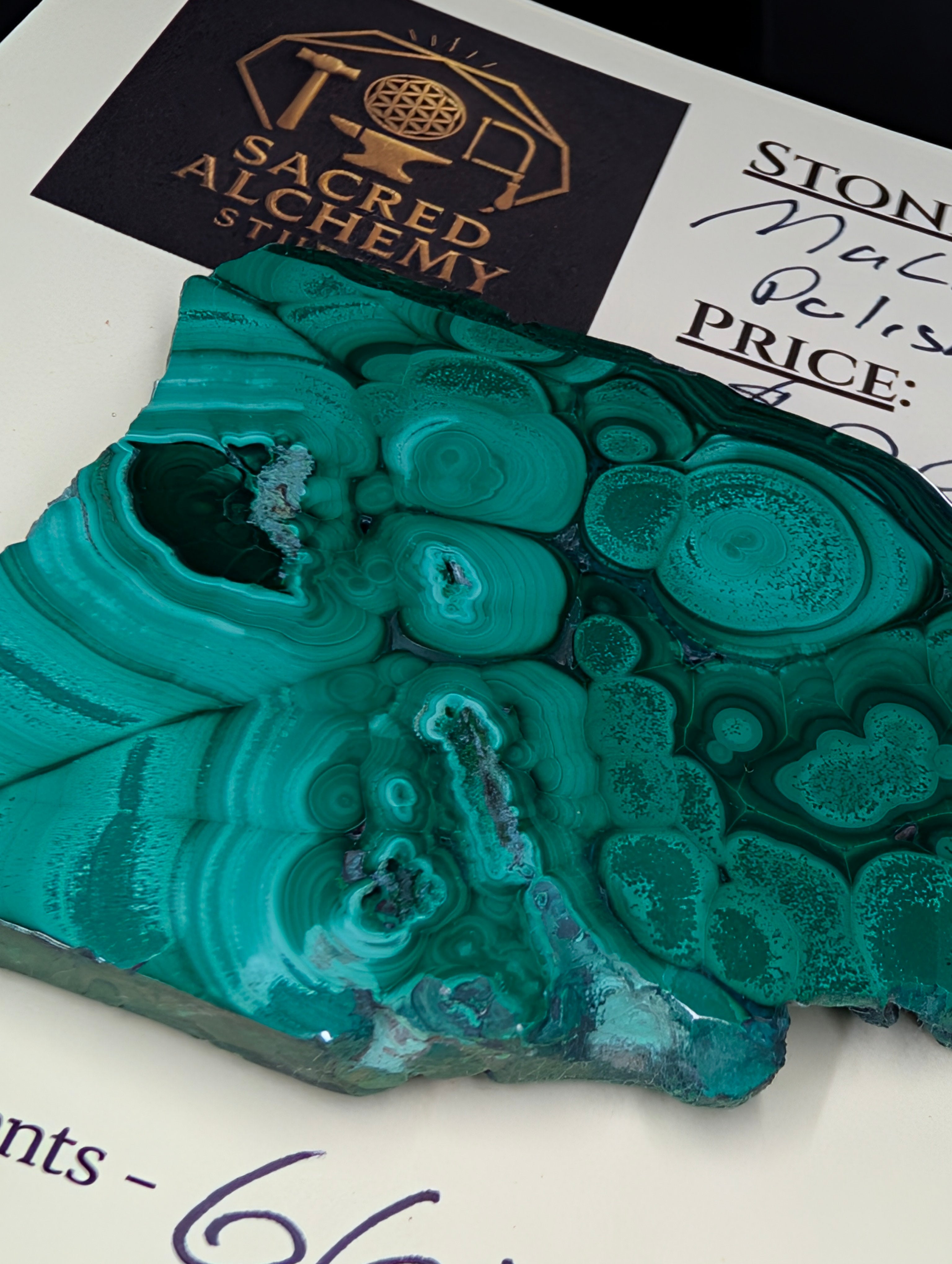 Malachite Cabochon - Polished 2 Sides by Sacred Alchemy Studios