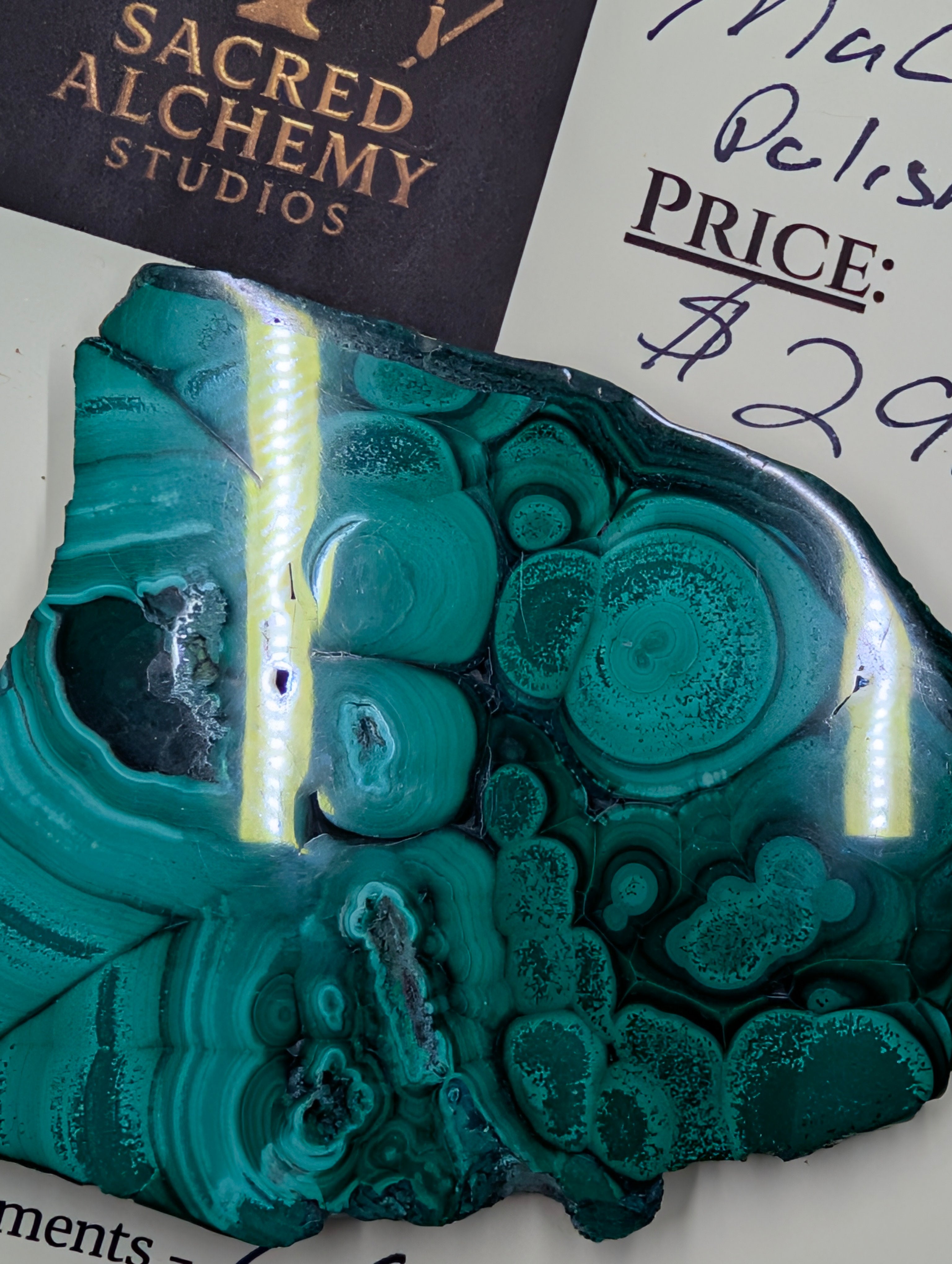 Malachite Cabochon - Polished 2 Sides by Sacred Alchemy Studios