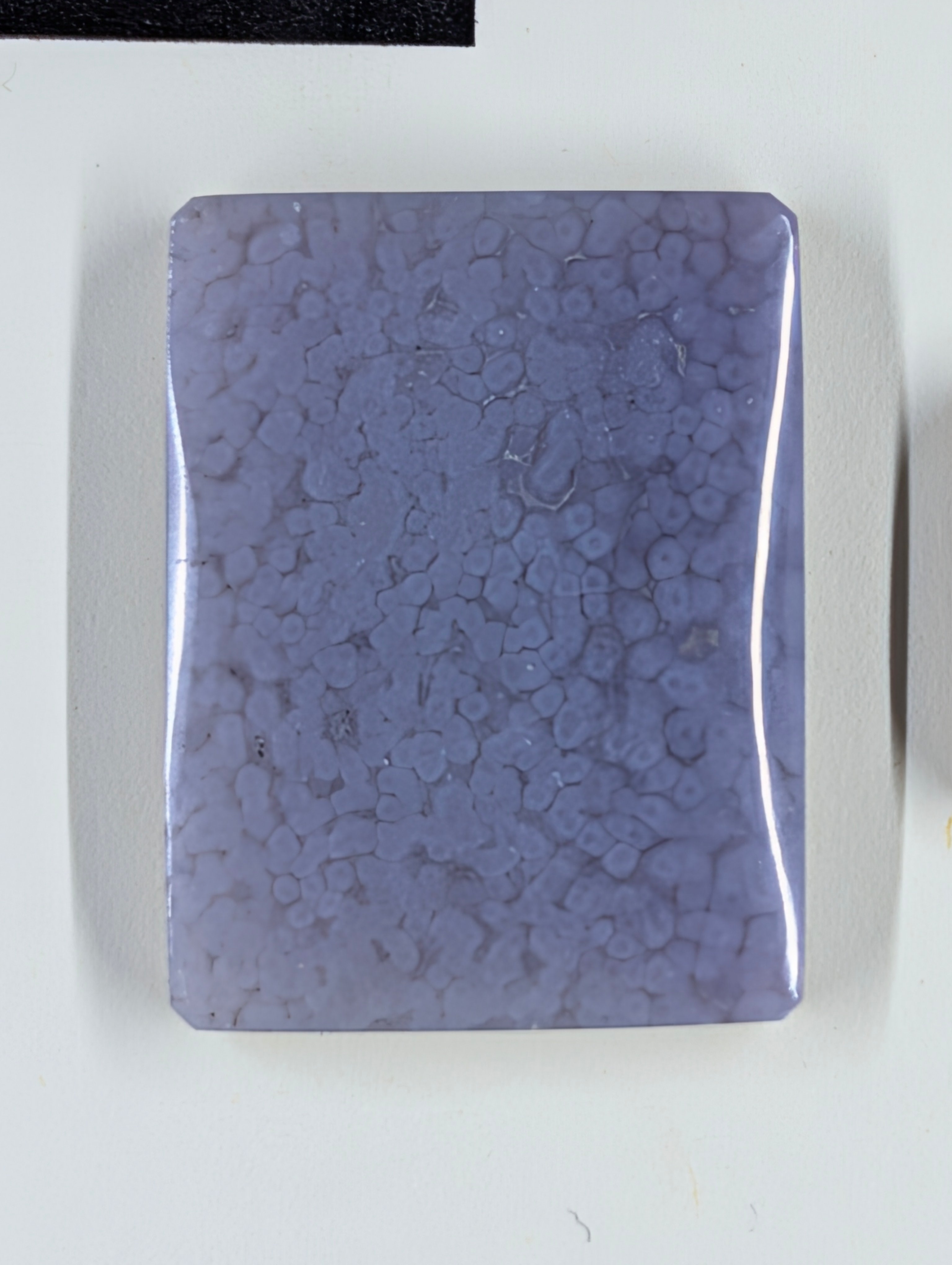 Rectangle Shape - Grape - Design-Ready Set by Sacred Alchemy Studios