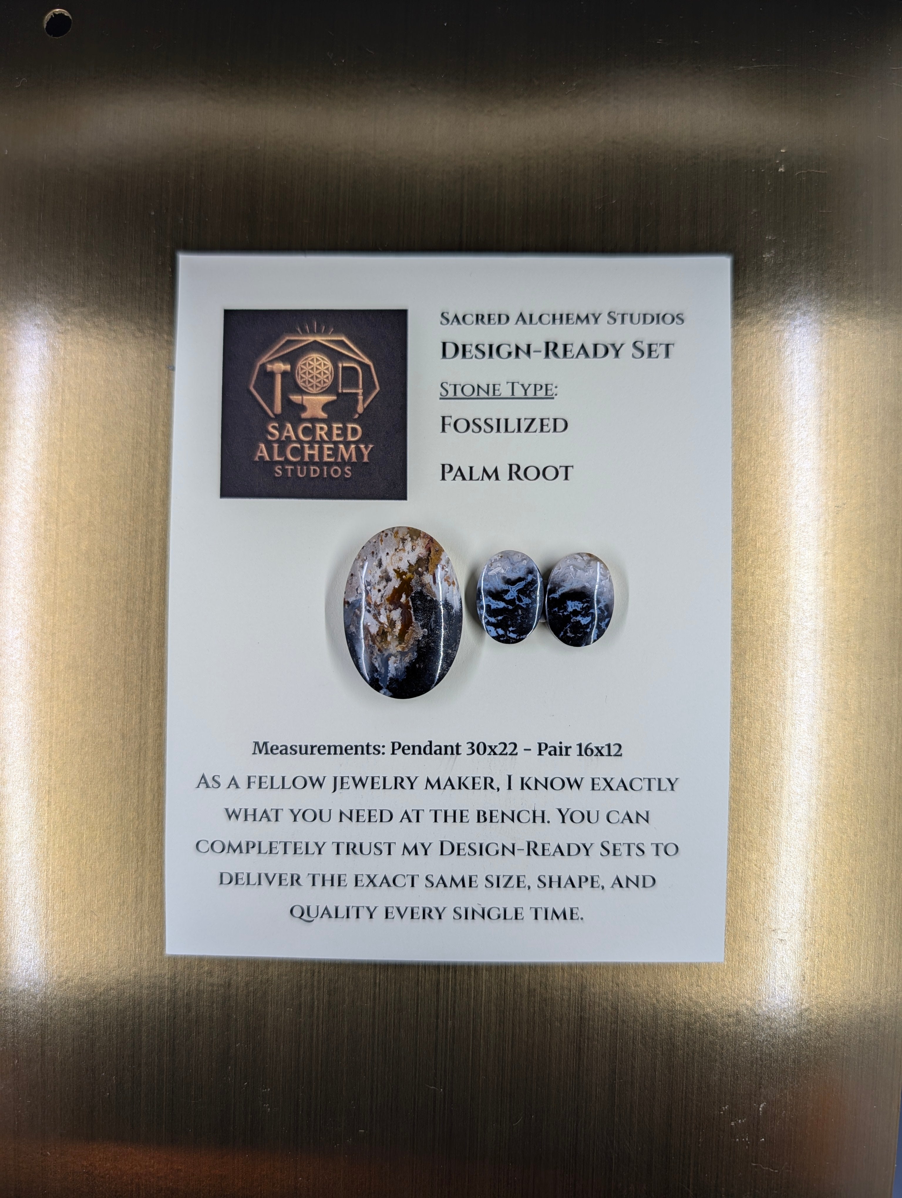 Oval Shape - Fossilized Palm Root - Design-Ready Set by Sacred Alchemy Studios