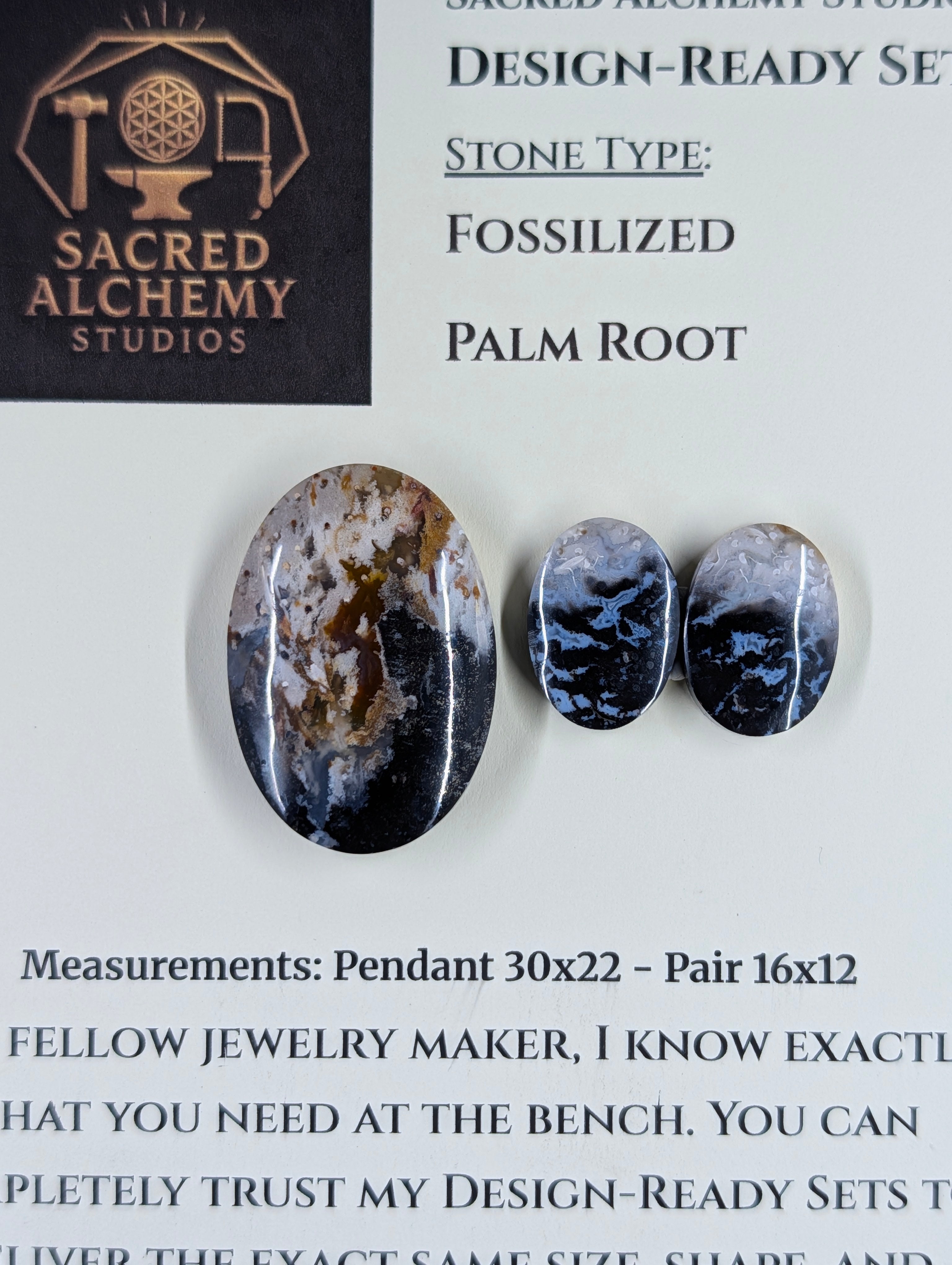 Oval Shape - Fossilized Palm Root - Design-Ready Set by Sacred Alchemy Studios