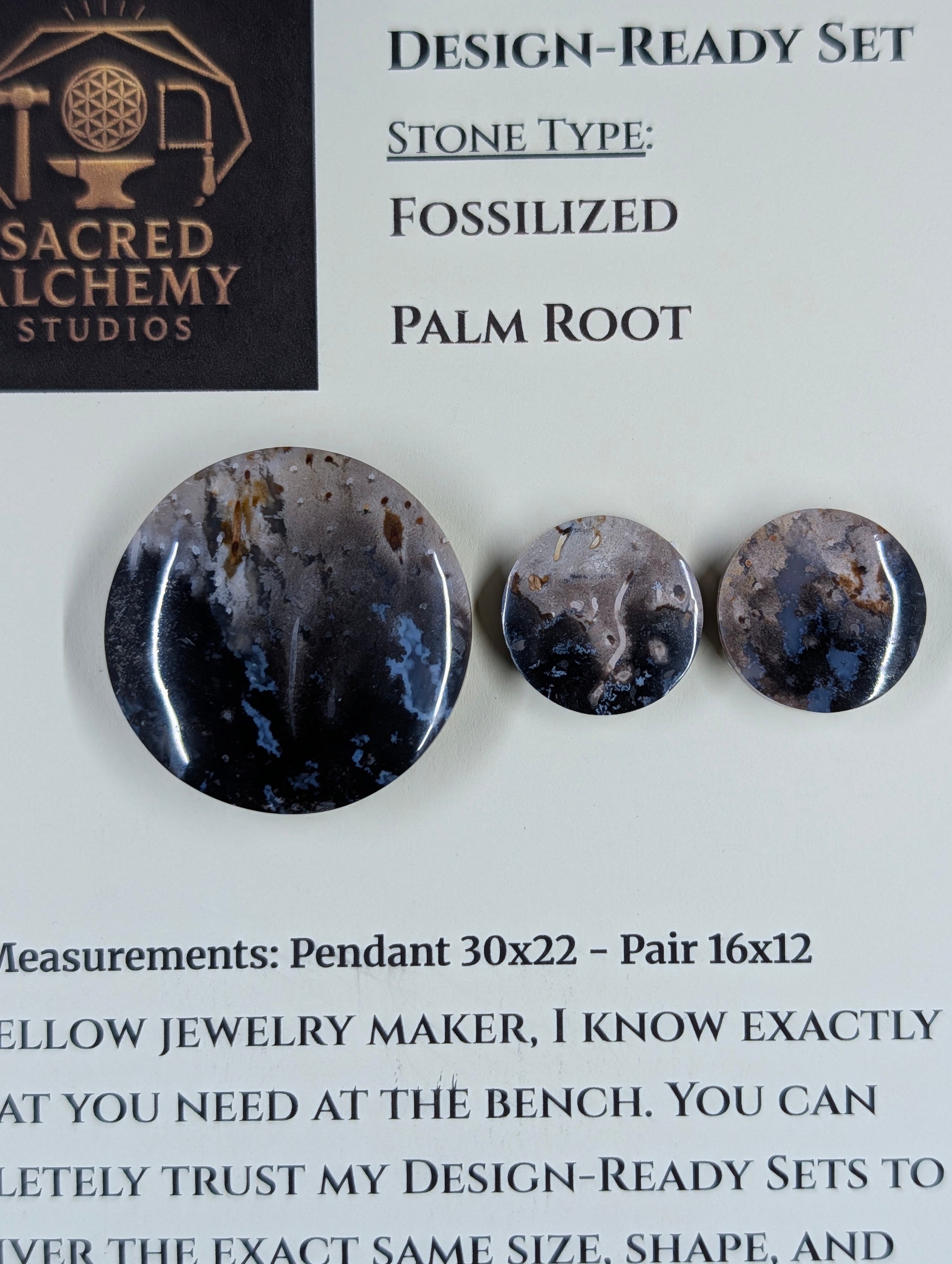 Circle Shape - Fossilized Palm Root - Design-Ready Set by Sacred Alchemy Studios
