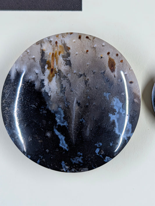 Circle Shape - Fossilized Palm Root - Design-Ready Set by Sacred Alchemy Studios