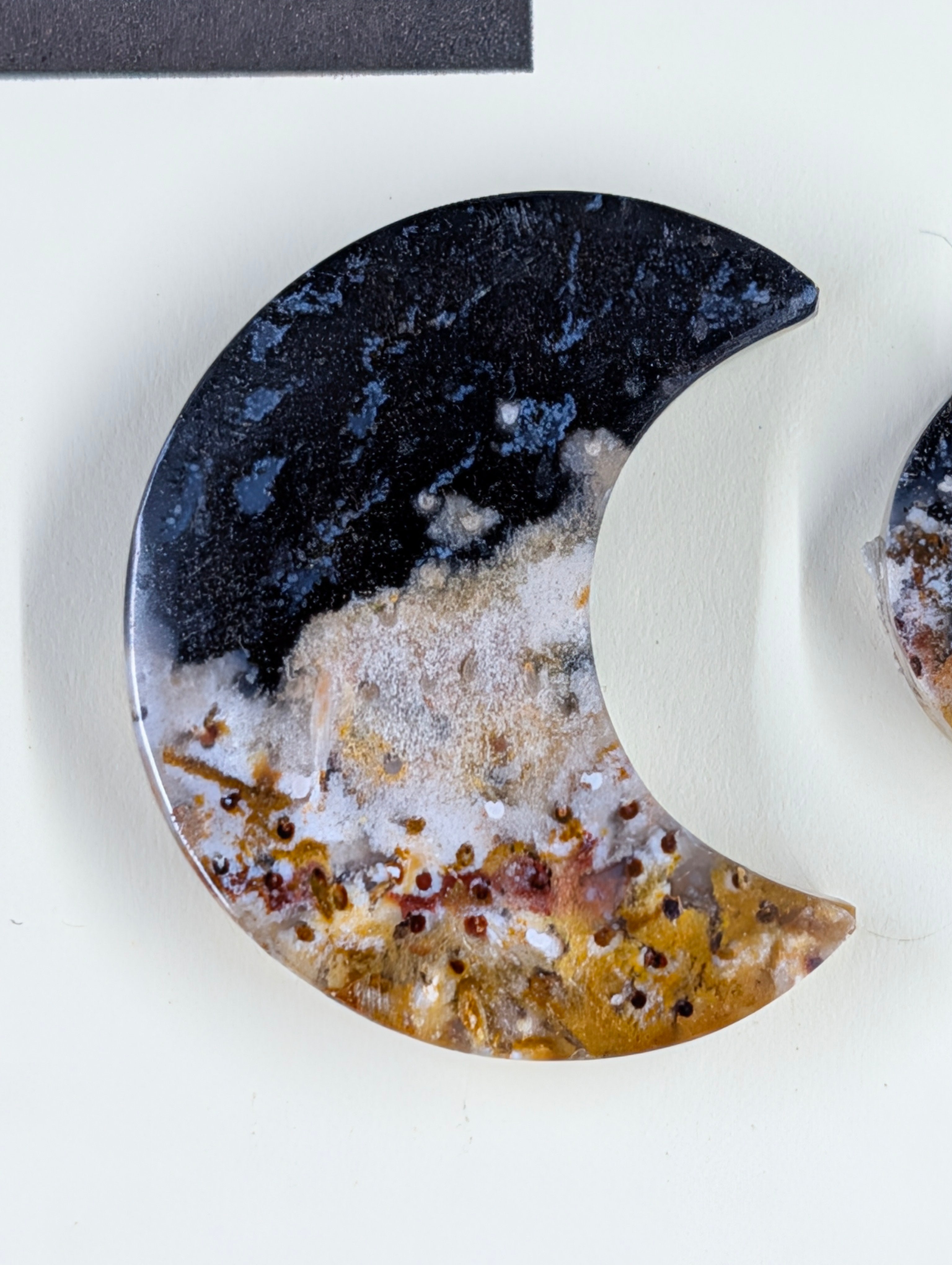 Crescent Moon - Fossilized Palm Root - Design-Ready Set by Sacred Alchemy Studios