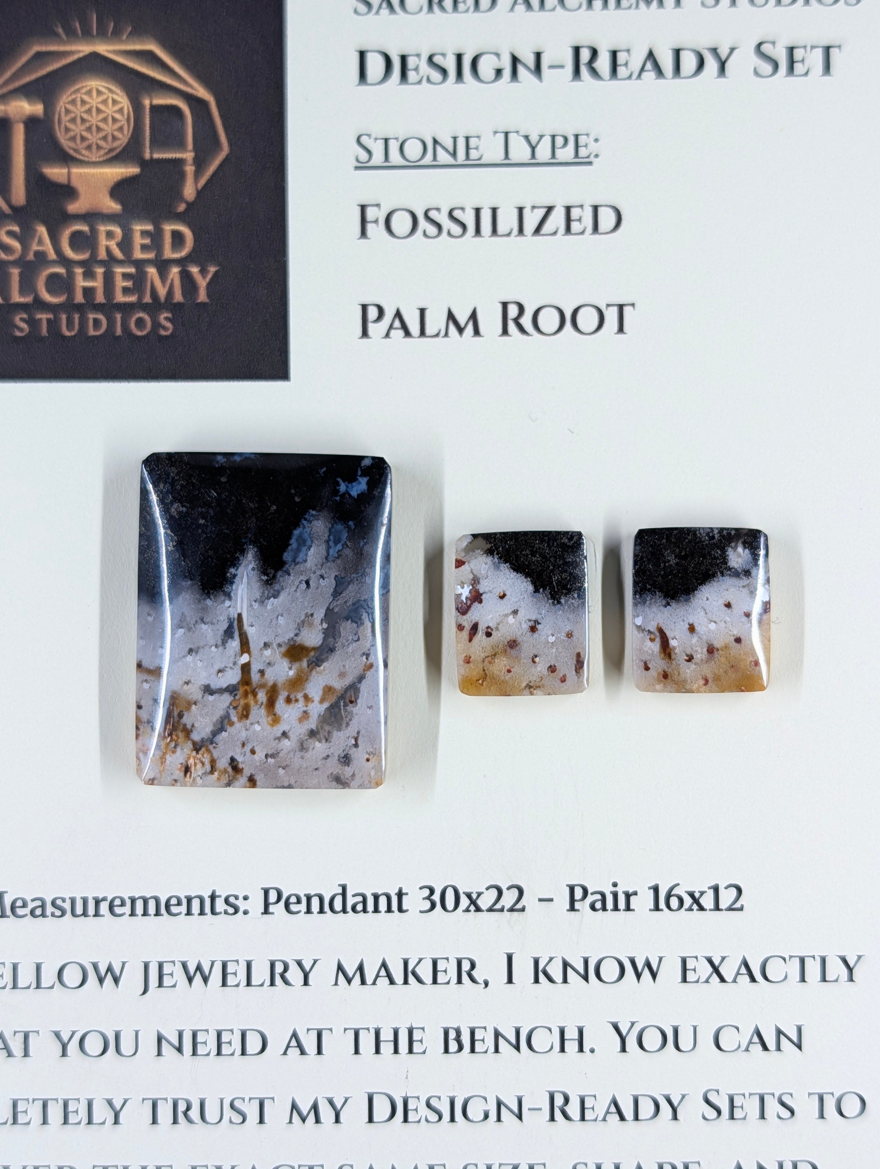 Rectangle Shape - Fossilized Palm Root - Design-Ready Set by Sacred Alchemy Studios