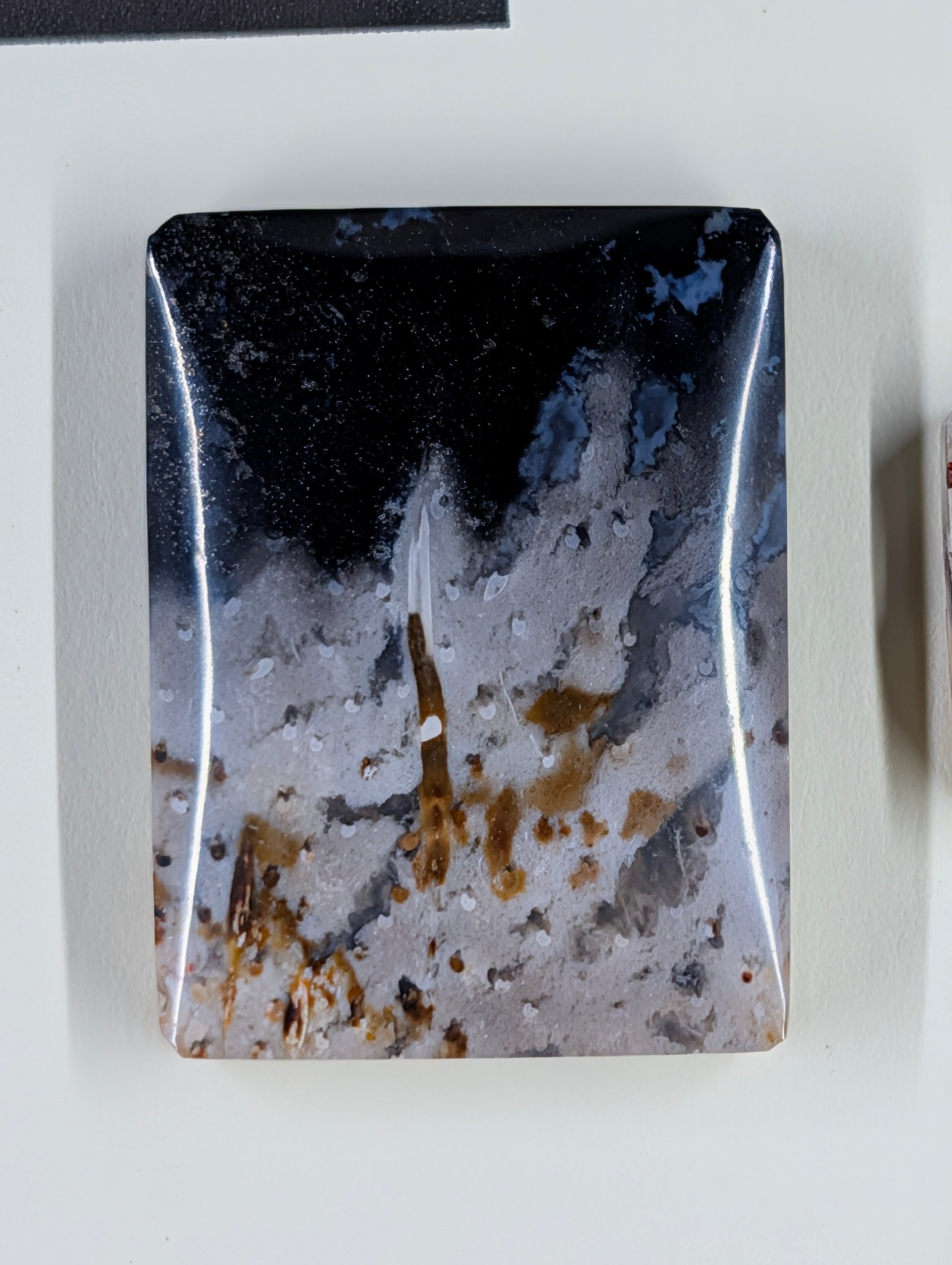 Rectangle Shape - Fossilized Palm Root - Design-Ready Set by Sacred Alchemy Studios