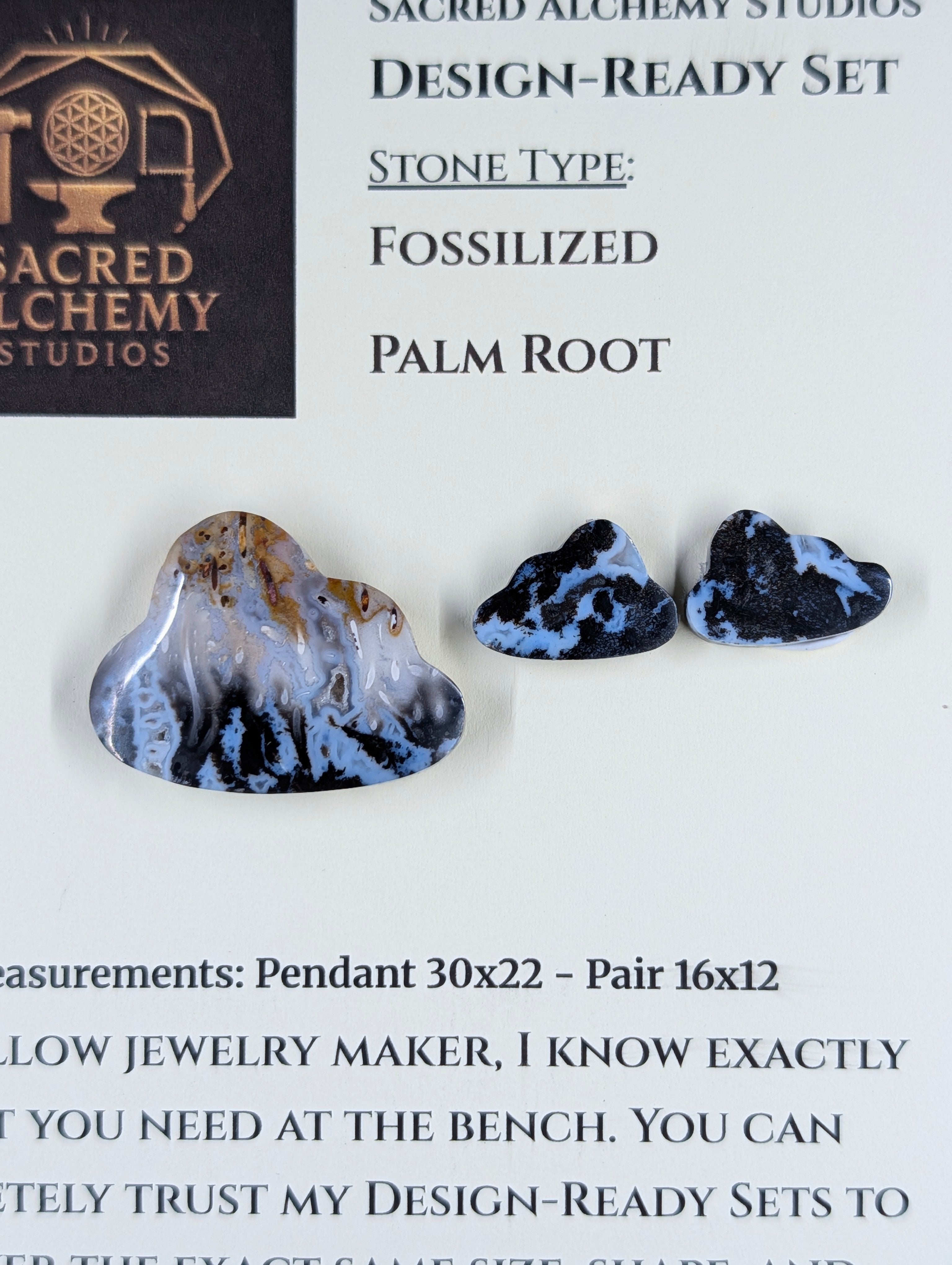 Cloud Shape - Fossilized Palm Root - Design-Ready Set by Sacred Alchemy Studios