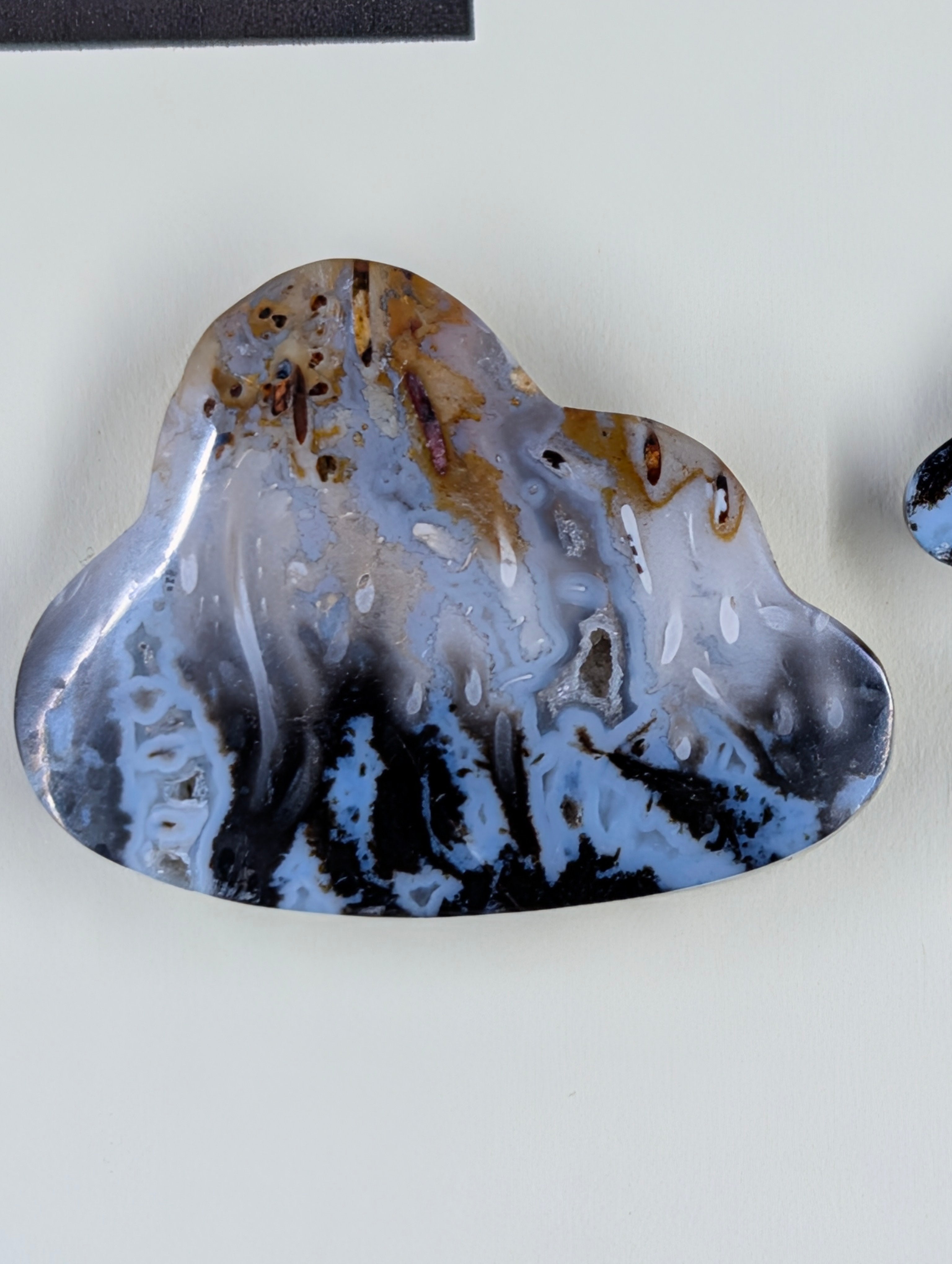 Cloud Shape - Fossilized Palm Root - Design-Ready Set by Sacred Alchemy Studios