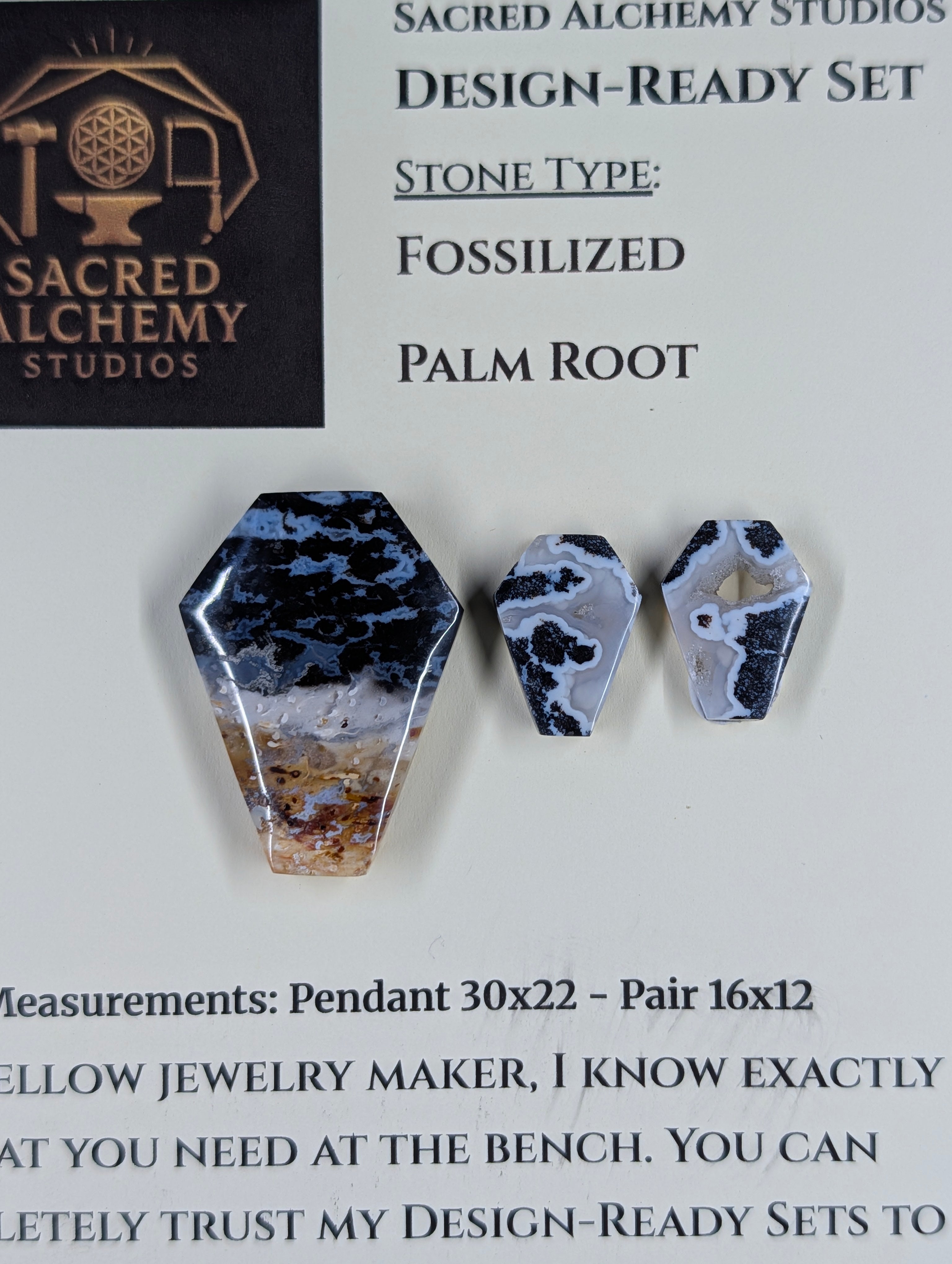 Coffin Shape - Fossilized Palm Root - Design-Ready Set by Sacred Alchemy Studios