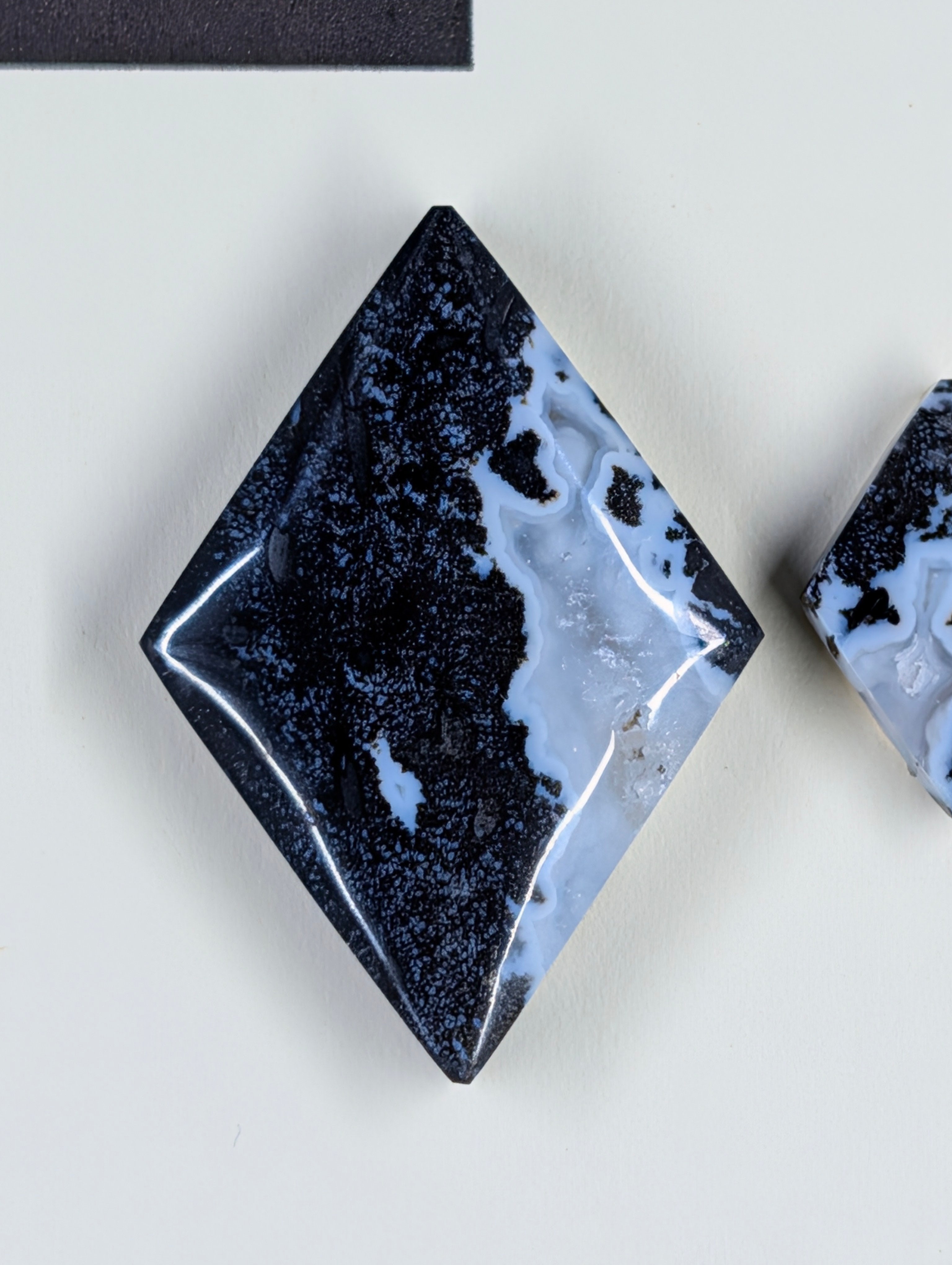 Rhombus Shape - Fossilized Palm Root - Design-Ready Set by Sacred Alchemy Studios