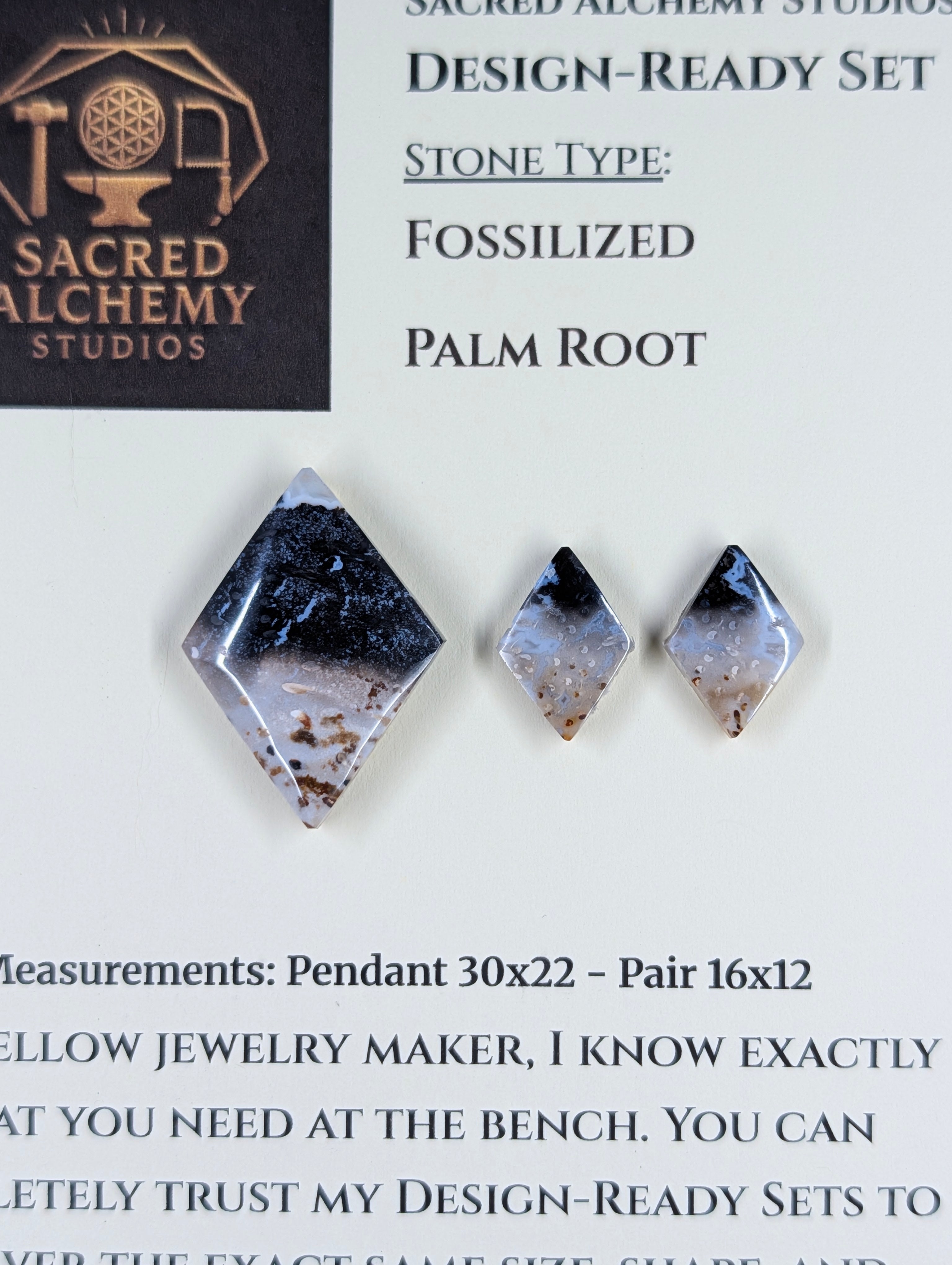 Rhombus Shape - Fossilized Palm Root - Design-Ready Set by Sacred Alchemy Studios