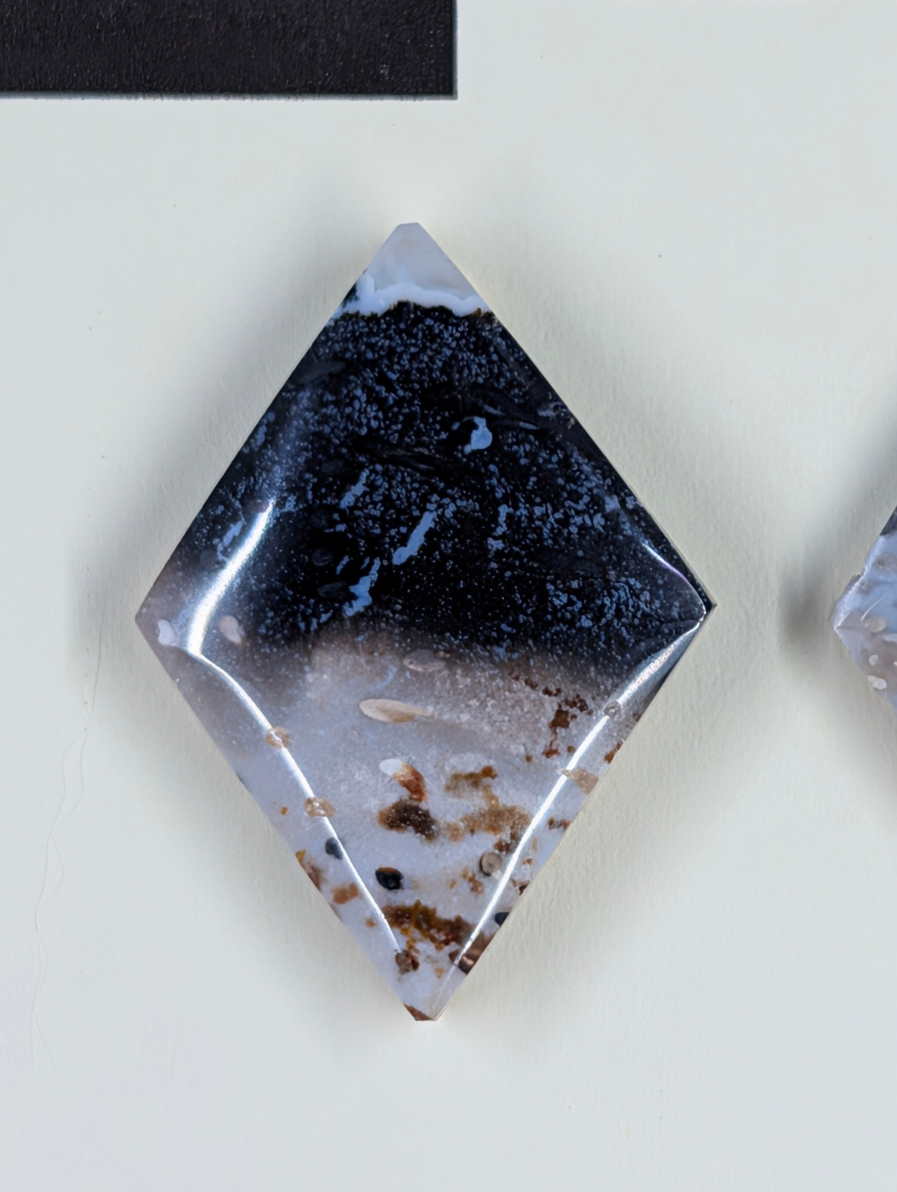 Rhombus Shape - Fossilized Palm Root - Design-Ready Set by Sacred Alchemy Studios
