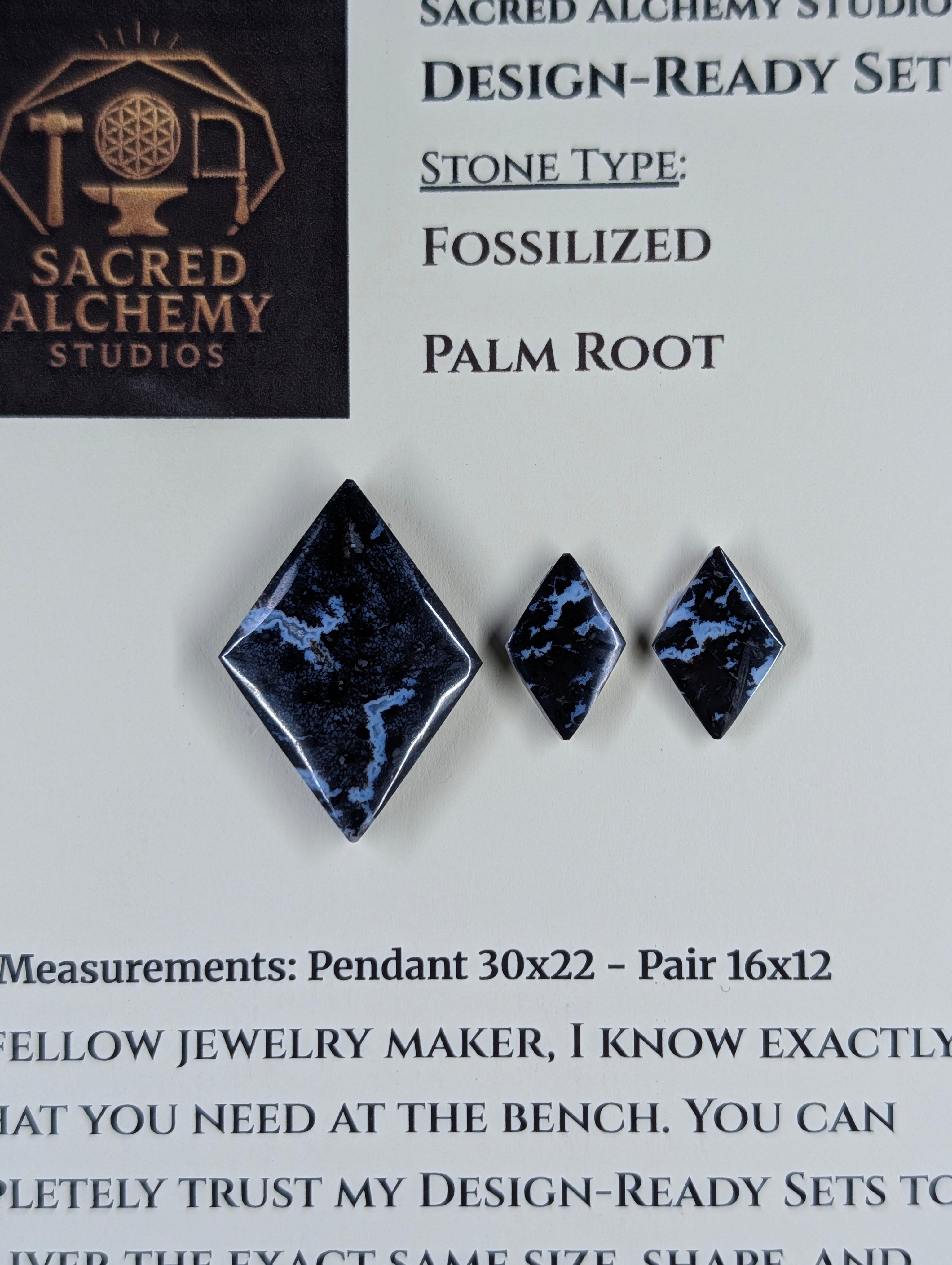 Rhombus Shape - Fossilized Palm Root - Design-Ready Set by Sacred Alchemy Studios