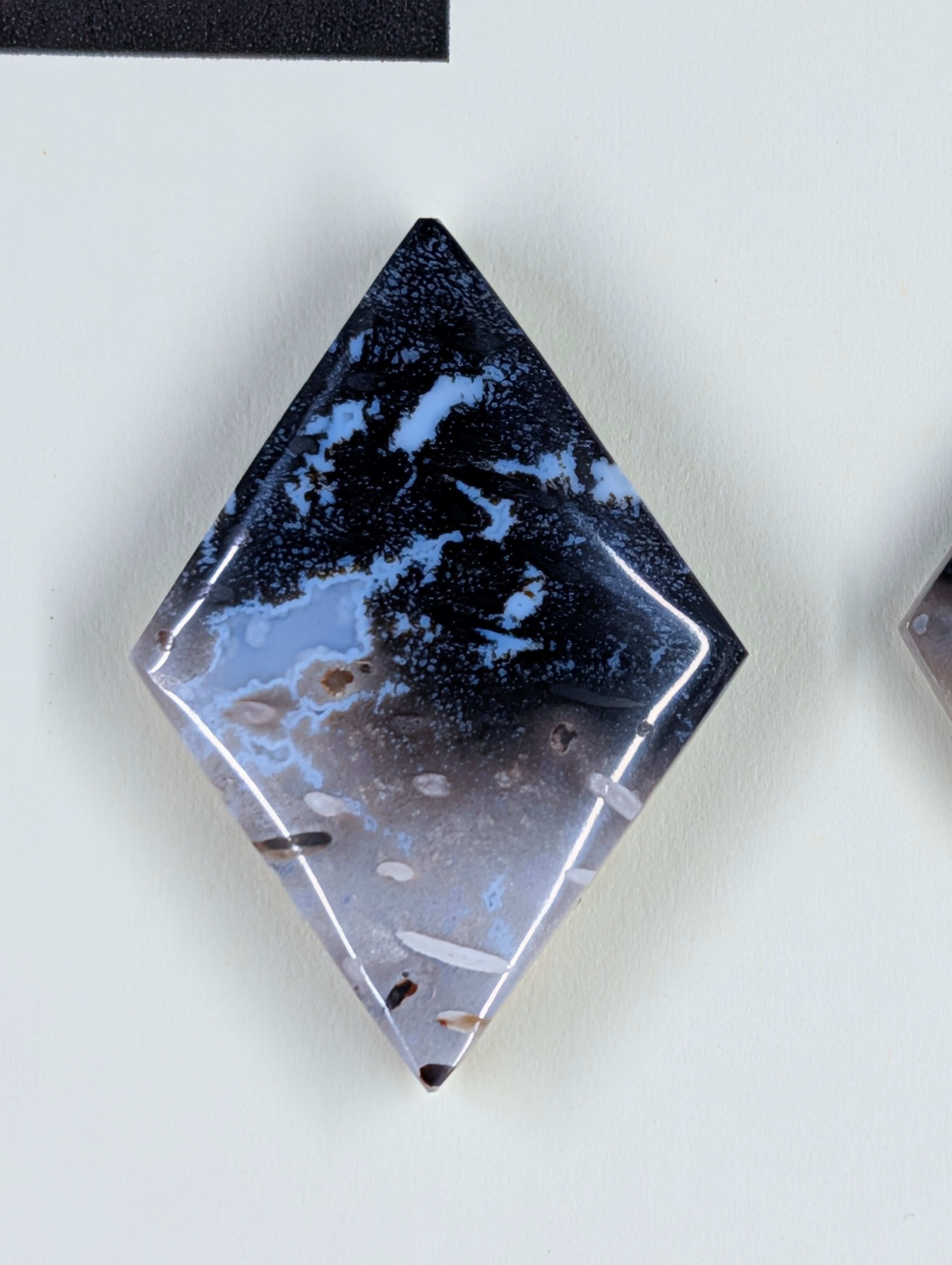 Rhombus Shape - Fossilized Palm Root - Design-Ready Set by Sacred Alchemy Studios