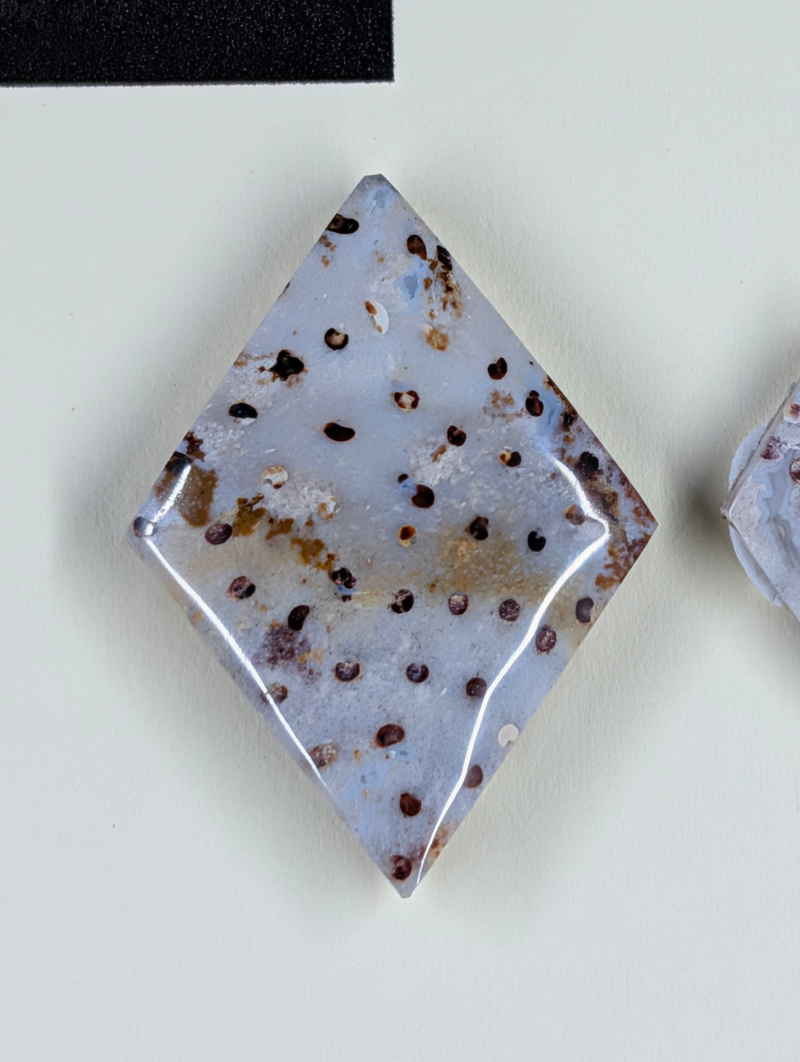 Rhombus Shape - Fossilized Palm Root - Design-Ready Set by Sacred Alchemy Studios