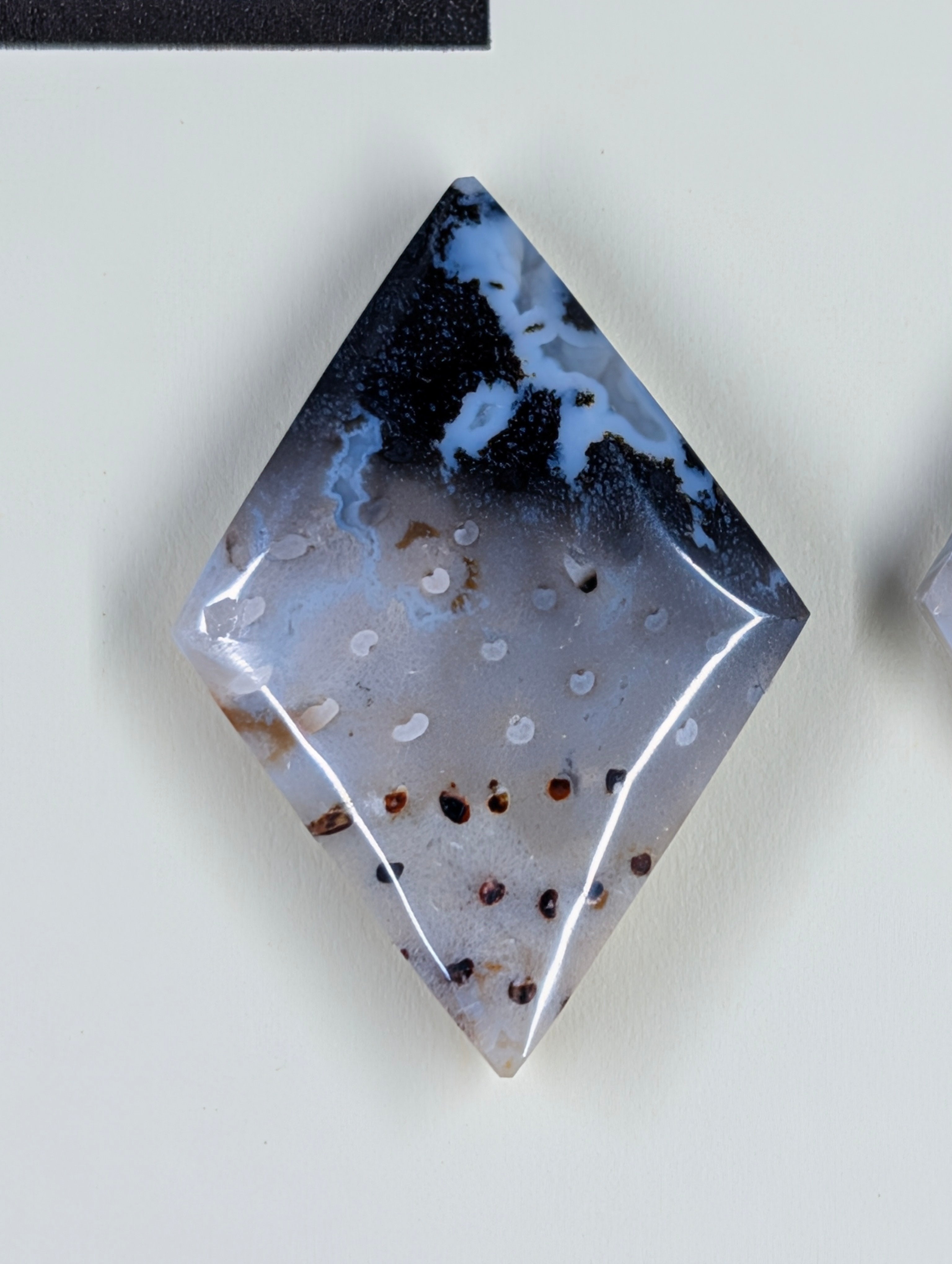 Rhombus Shape - Fossilized Palm Root - Design-Ready Set by Sacred Alchemy Studios