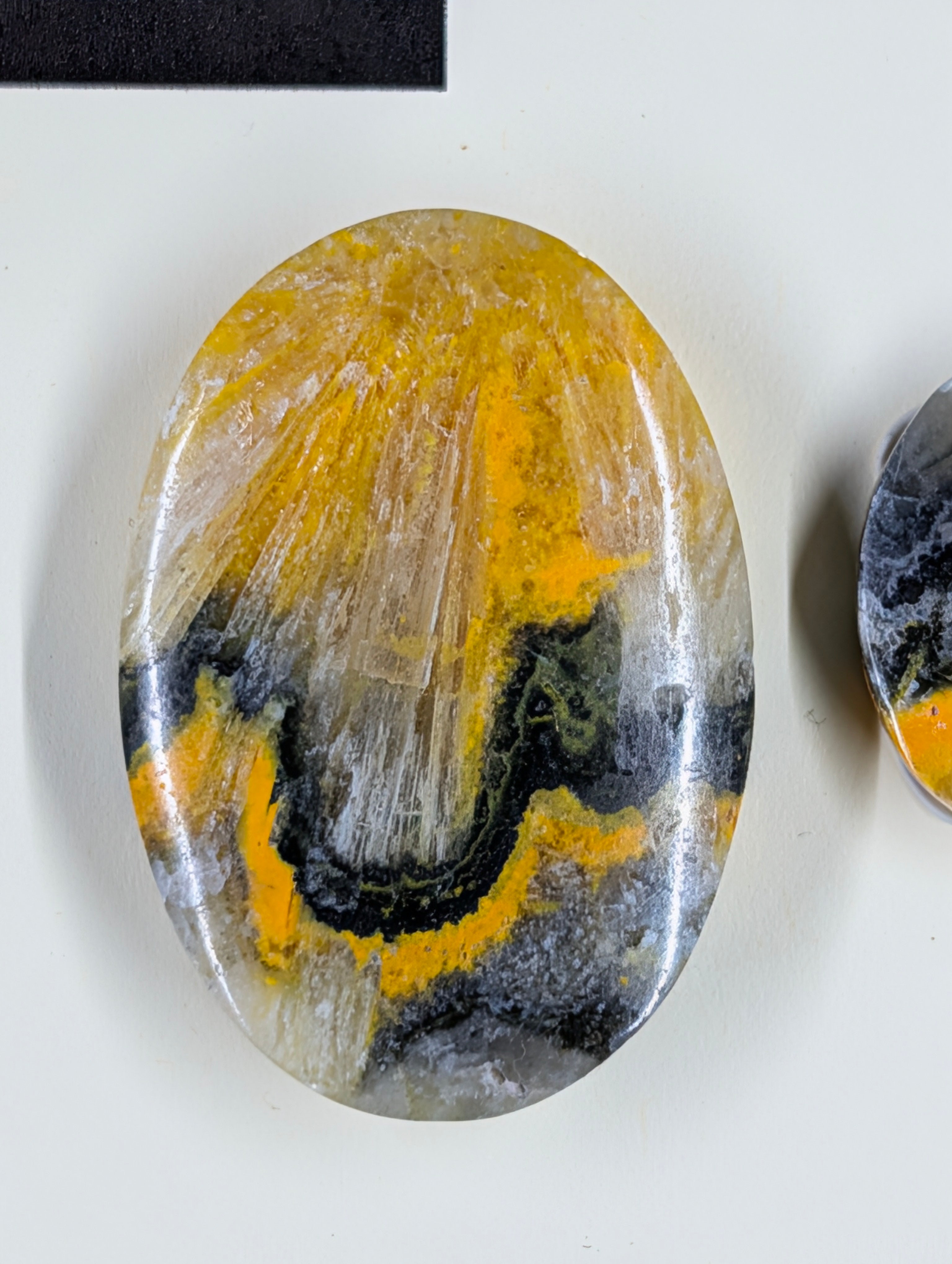 Oval Shape - Bumblebee Jasper - Design-Ready Set by Sacred Alchemy Studios