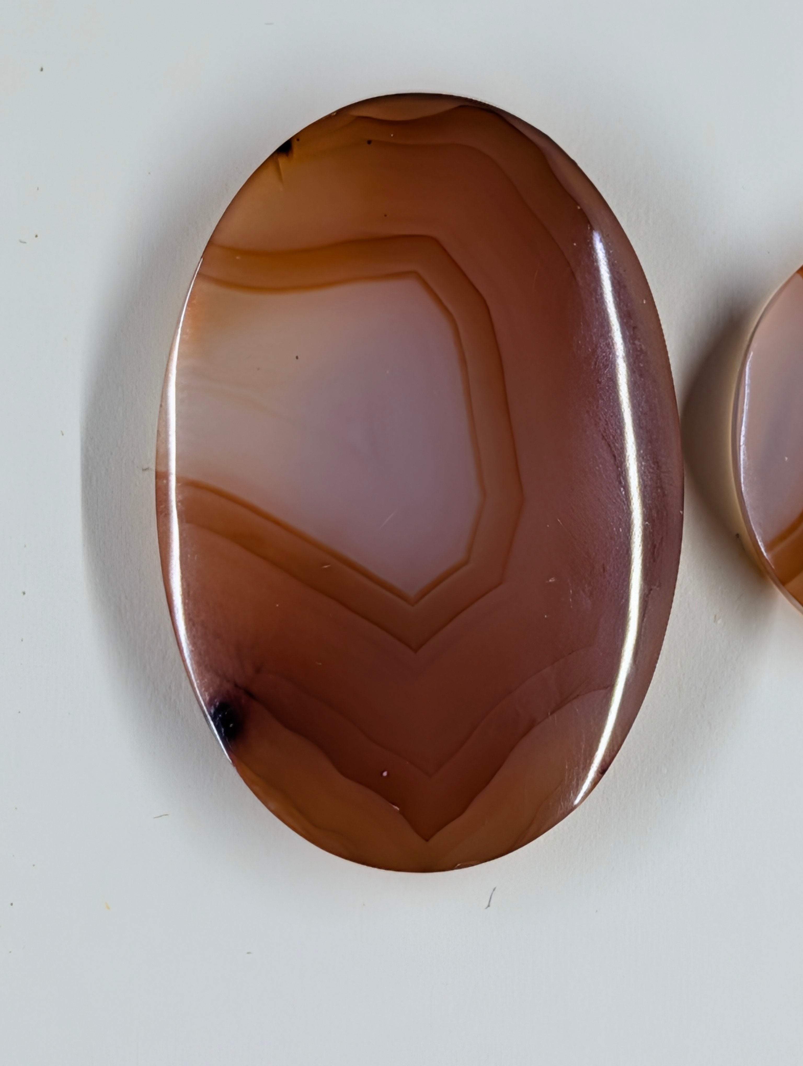Oval Shape - Carnelian - Design-Ready Set by Sacred Alchemy Studios
