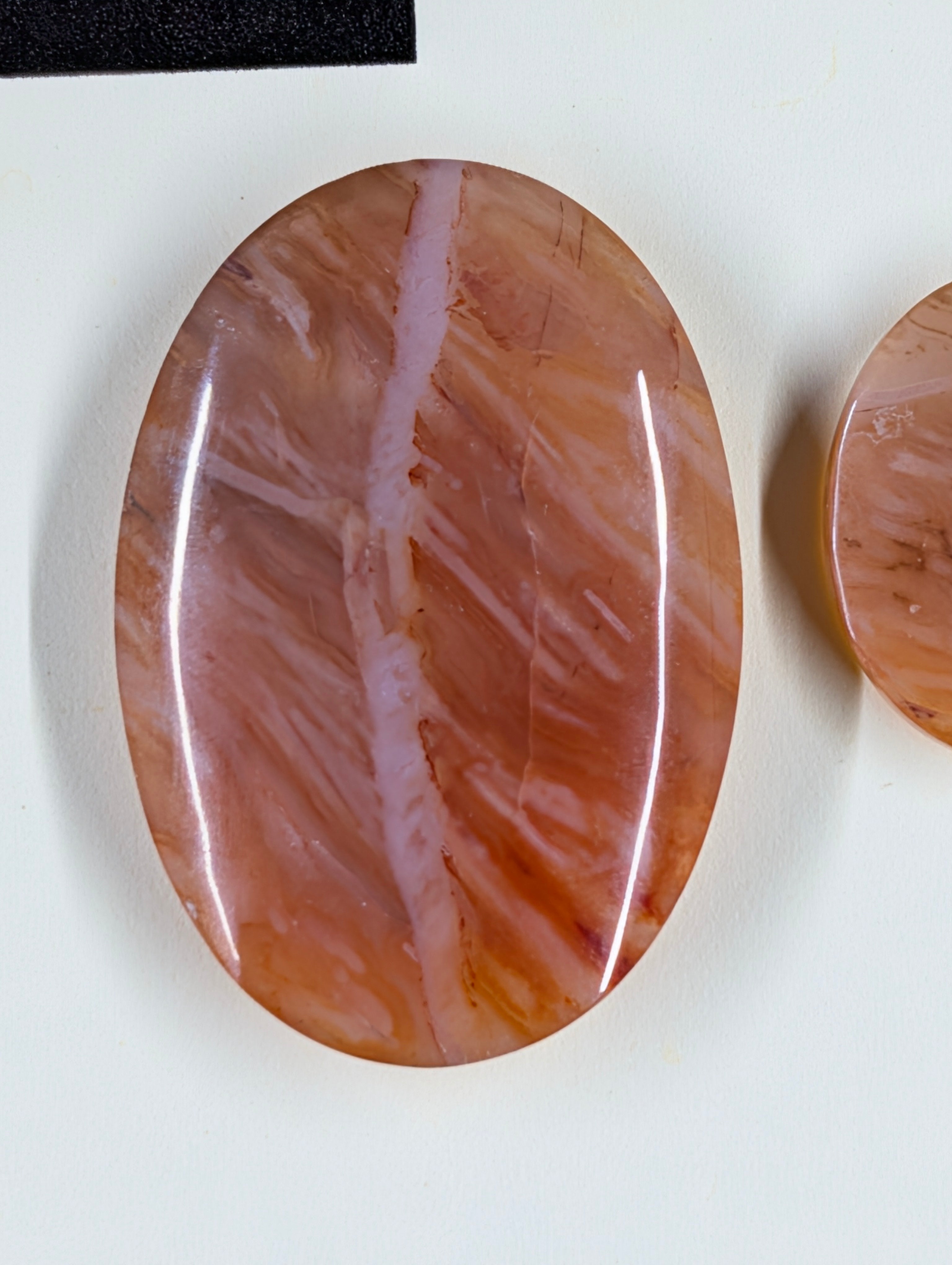Oval Shape - Carnelian - Design-Ready Set by Sacred Alchemy Studios