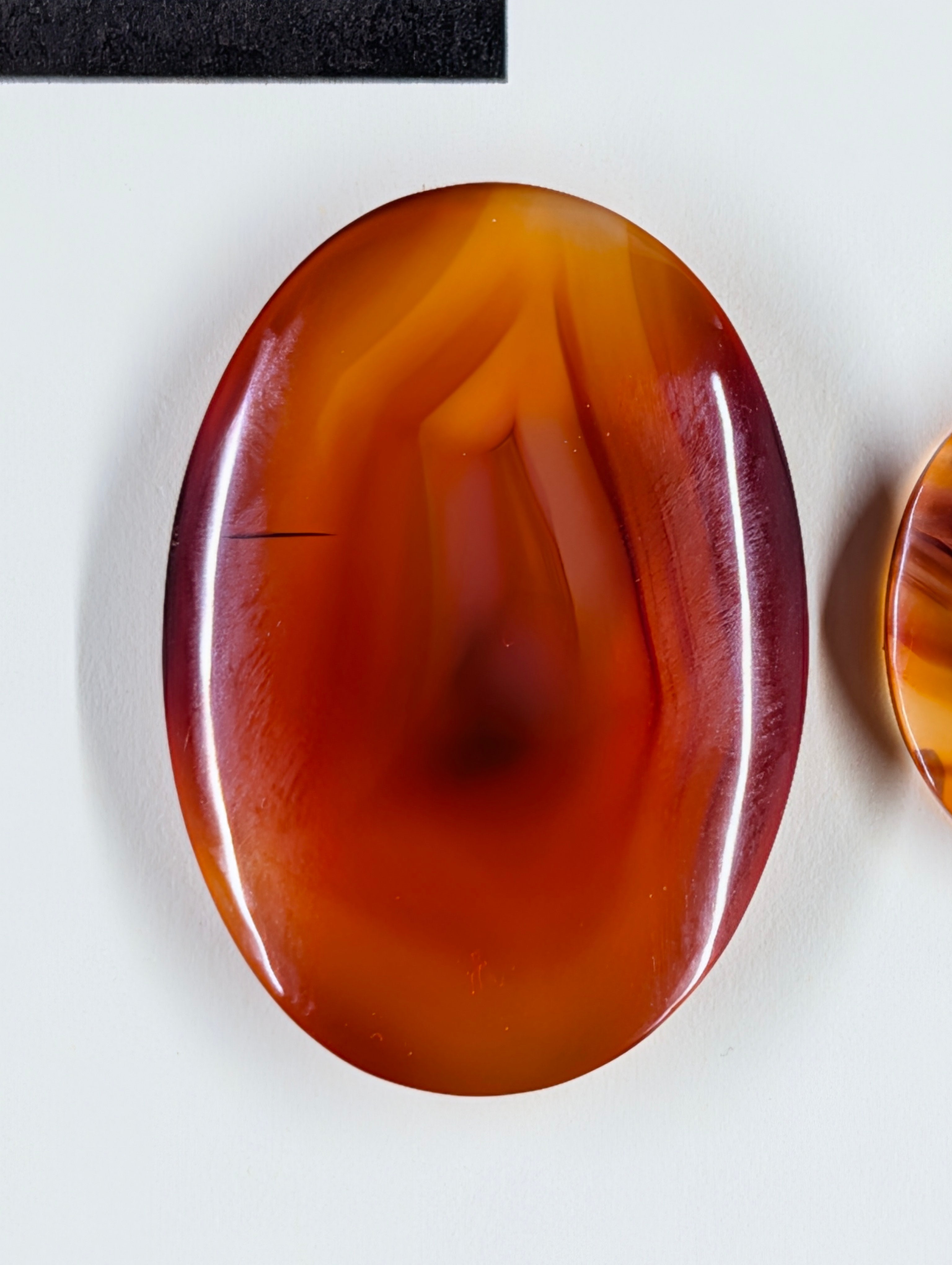 Oval Shape - Carnelian - Design-Ready Set by Sacred Alchemy Studios