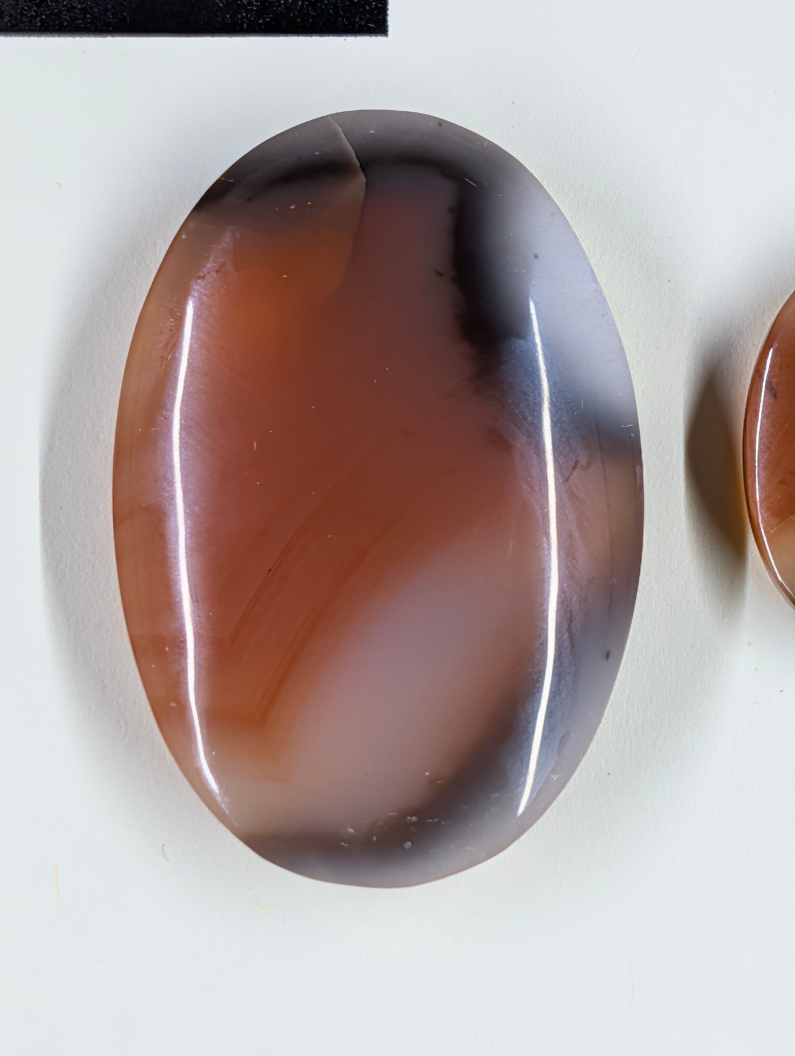 Oval Shape - Carnelian - Design-Ready Set by Sacred Alchemy Studios
