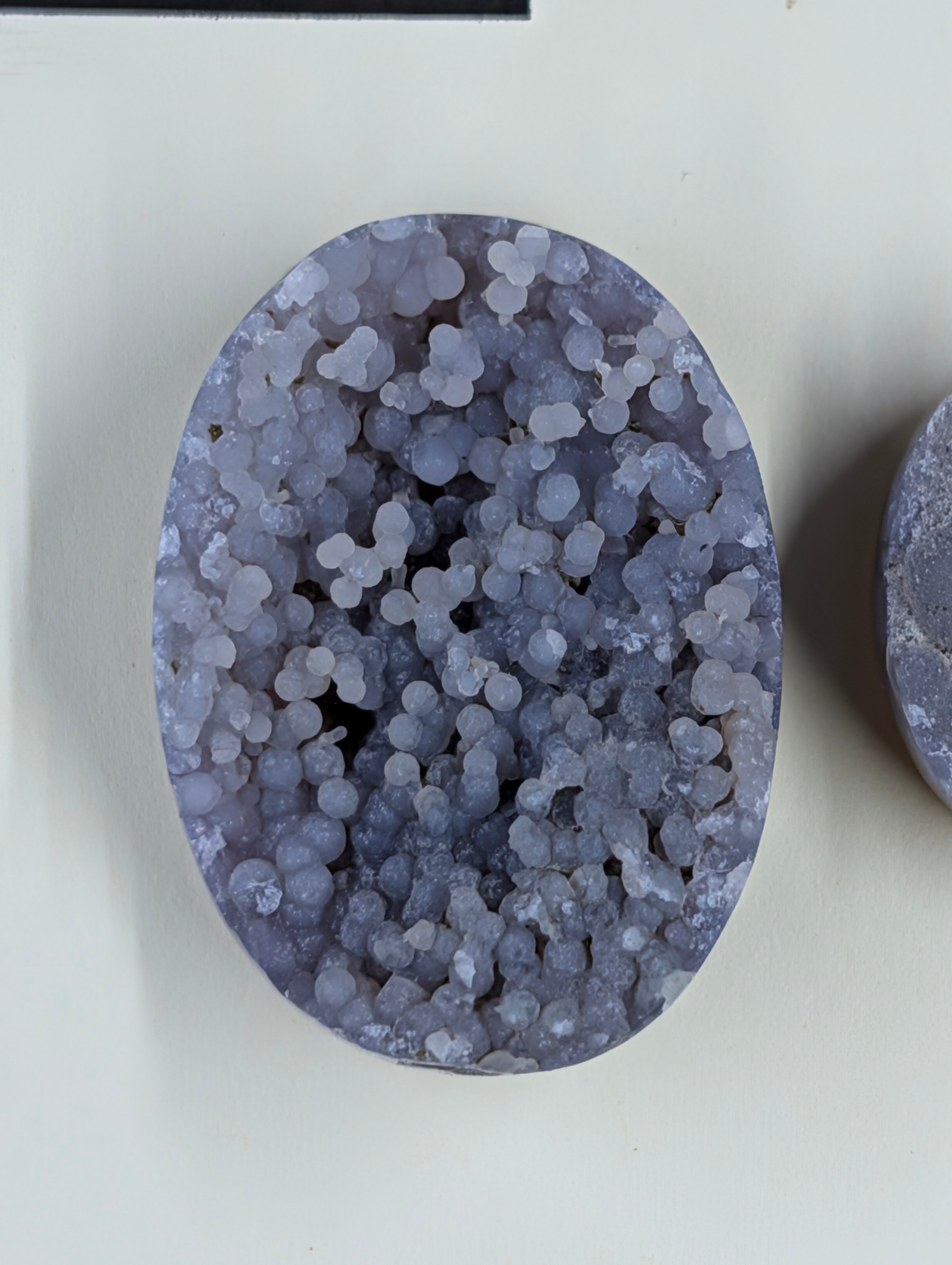 Oval Shape - Grape Agate - Botryoidal - Design-Ready Set by Sacred Alchemy Studios