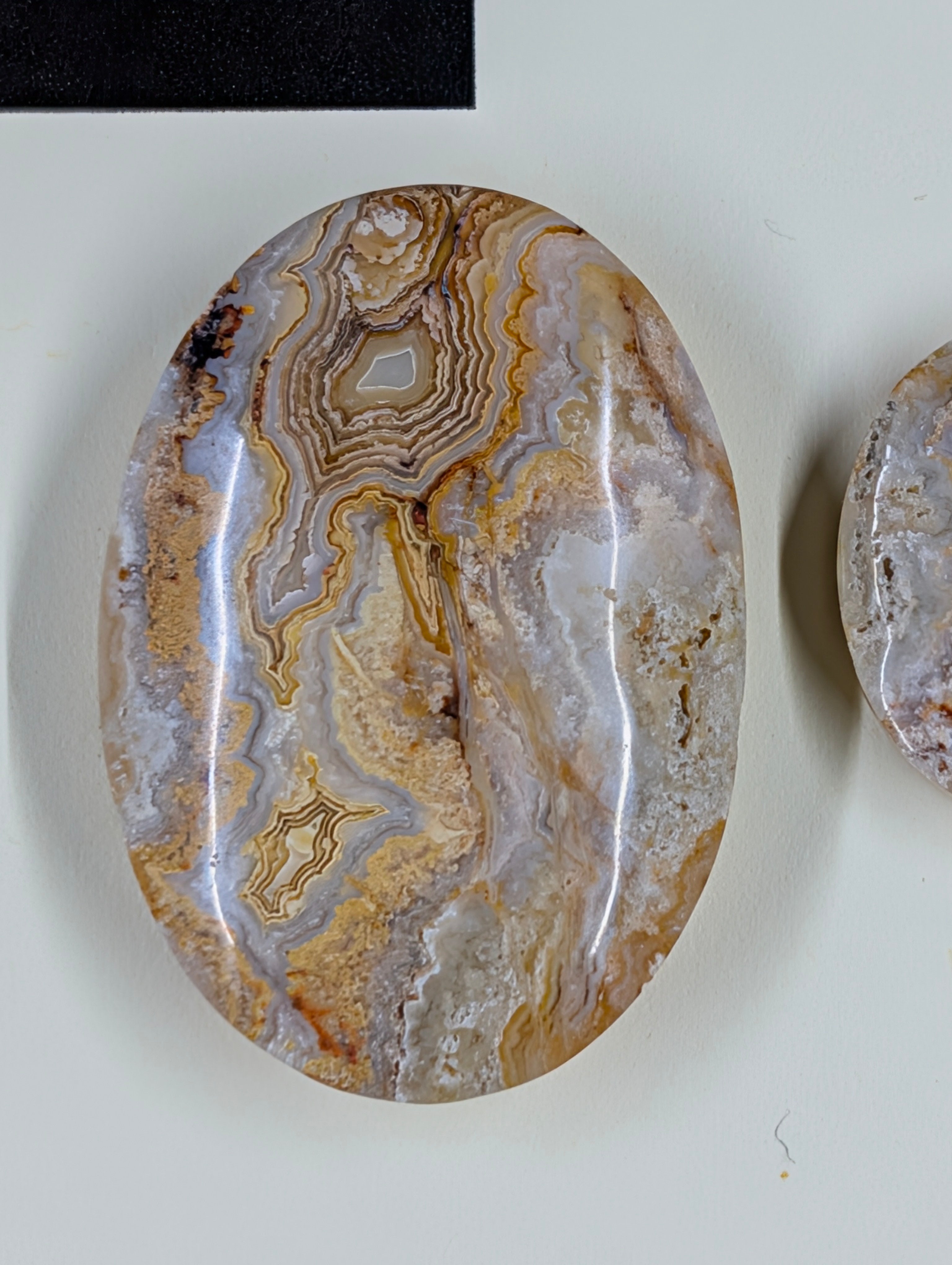 Oval Shape - Lace Agate - Design-Ready Set by Sacred Alchemy Studios