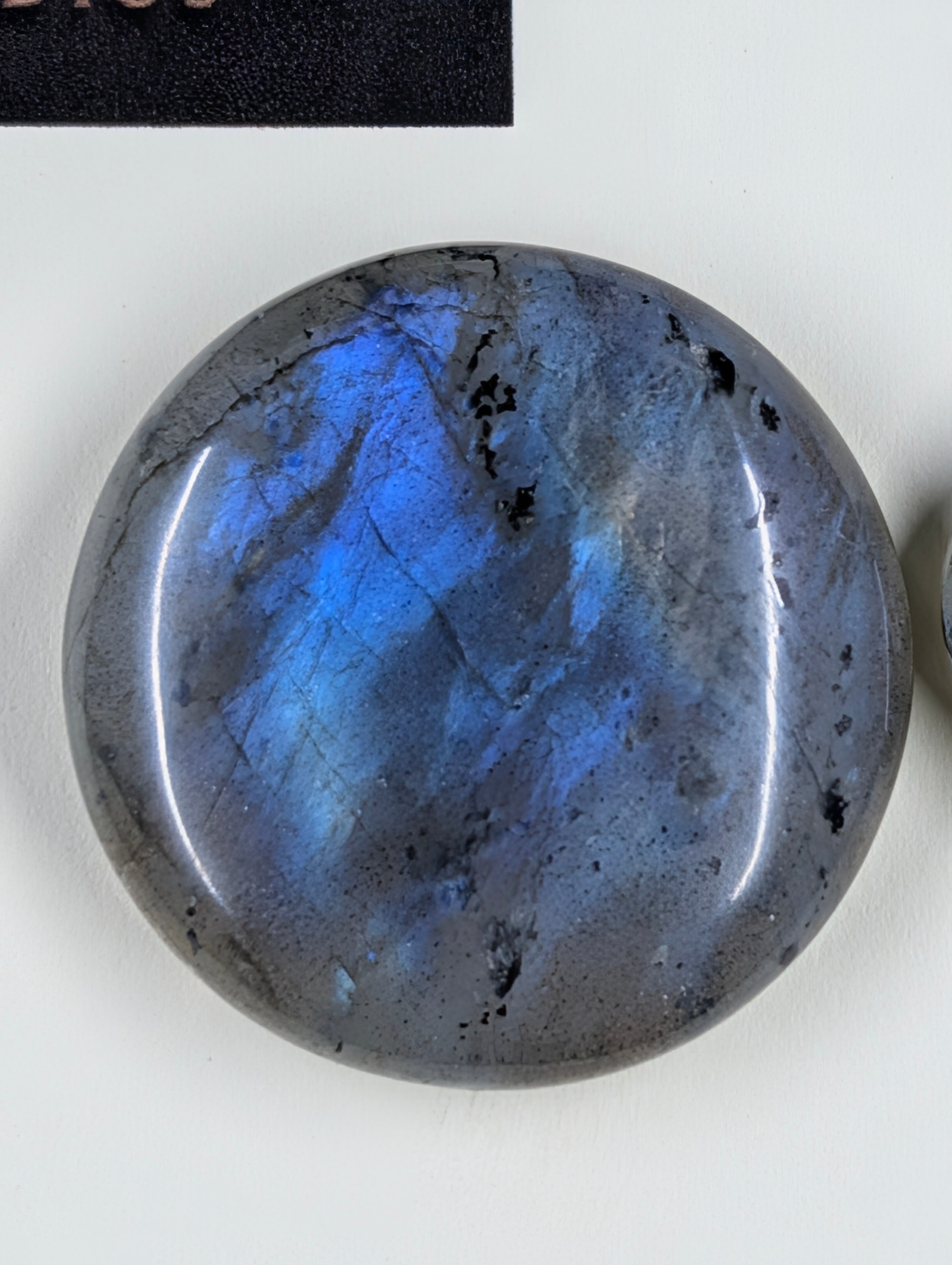 Circle Shape - Labradorite - Design-Ready Set