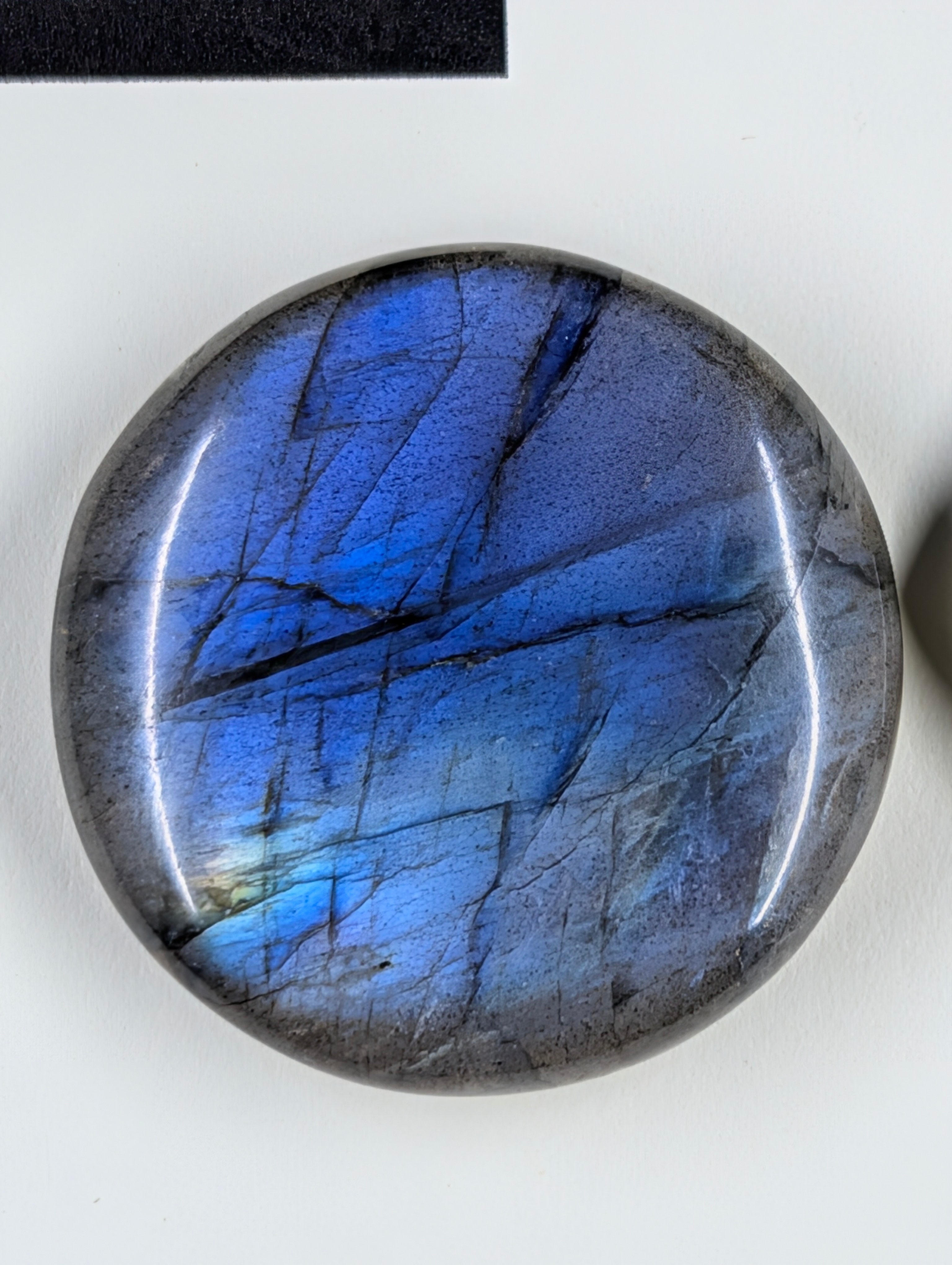 Circle Shape - Labradorite - Design-Ready Set
