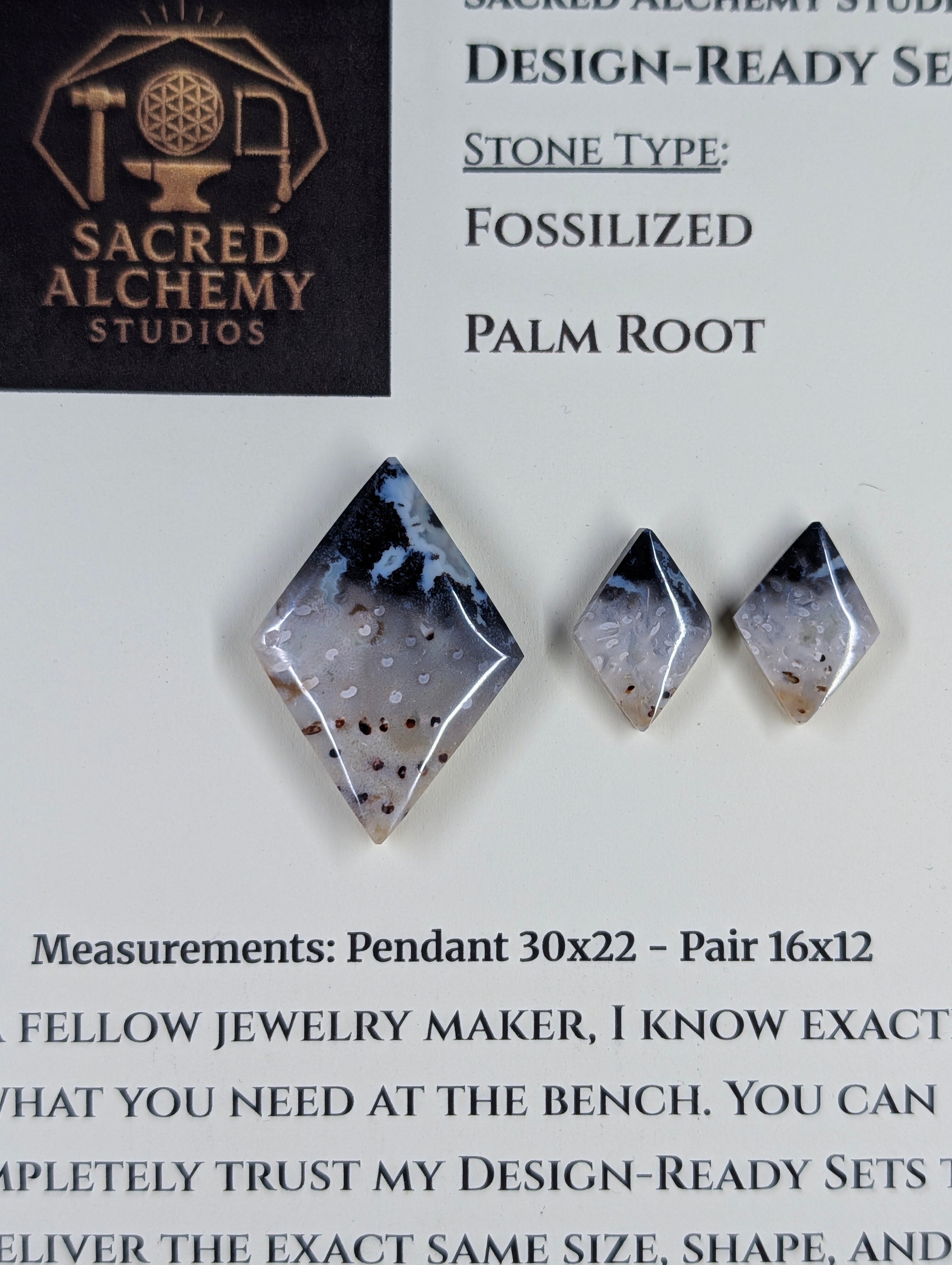 Rhombus Shape - Fossilized Palm Root - Design-Ready Set