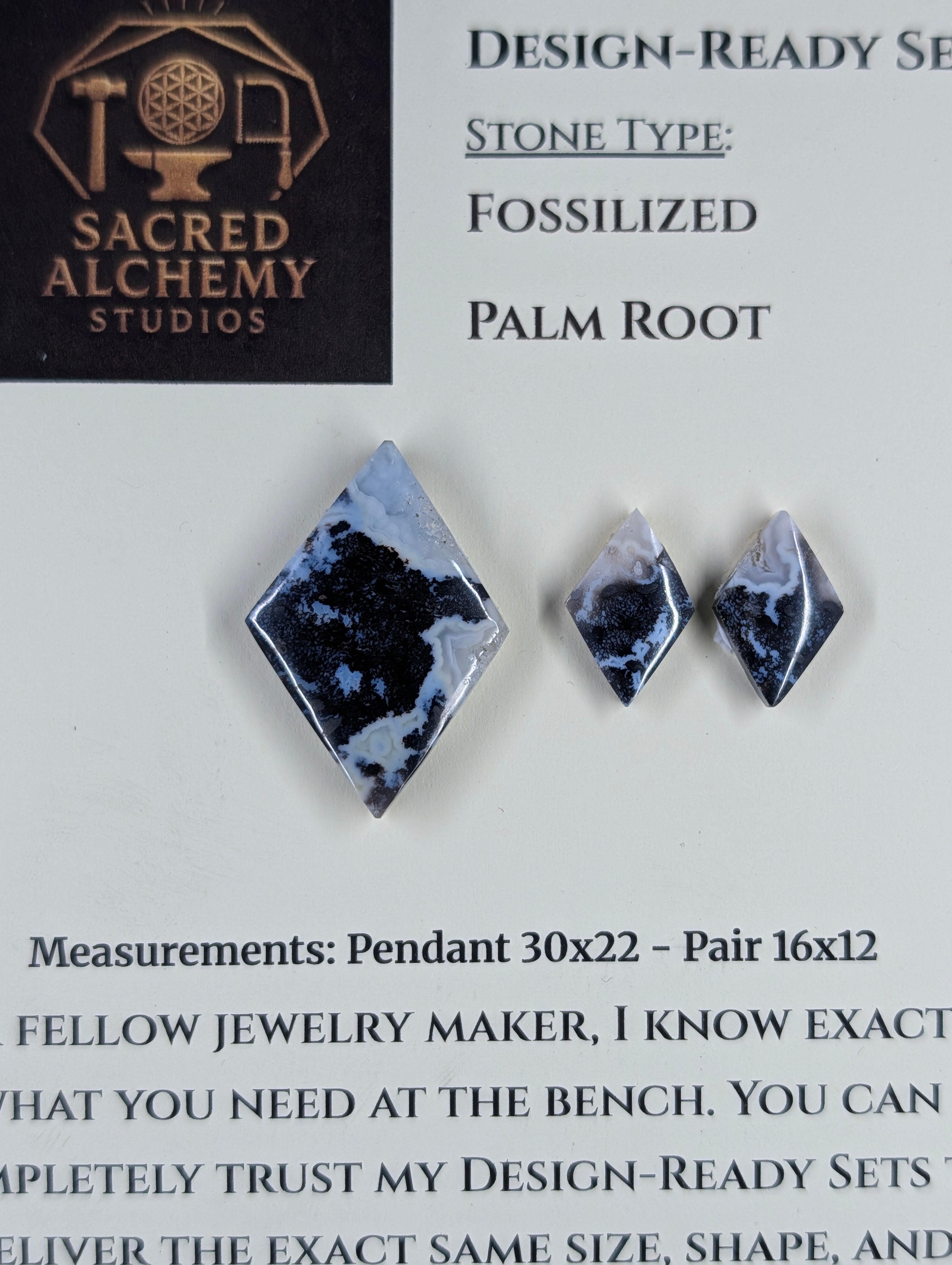Rhombus Shape - Fossilized Palm Root - Design-Ready Set