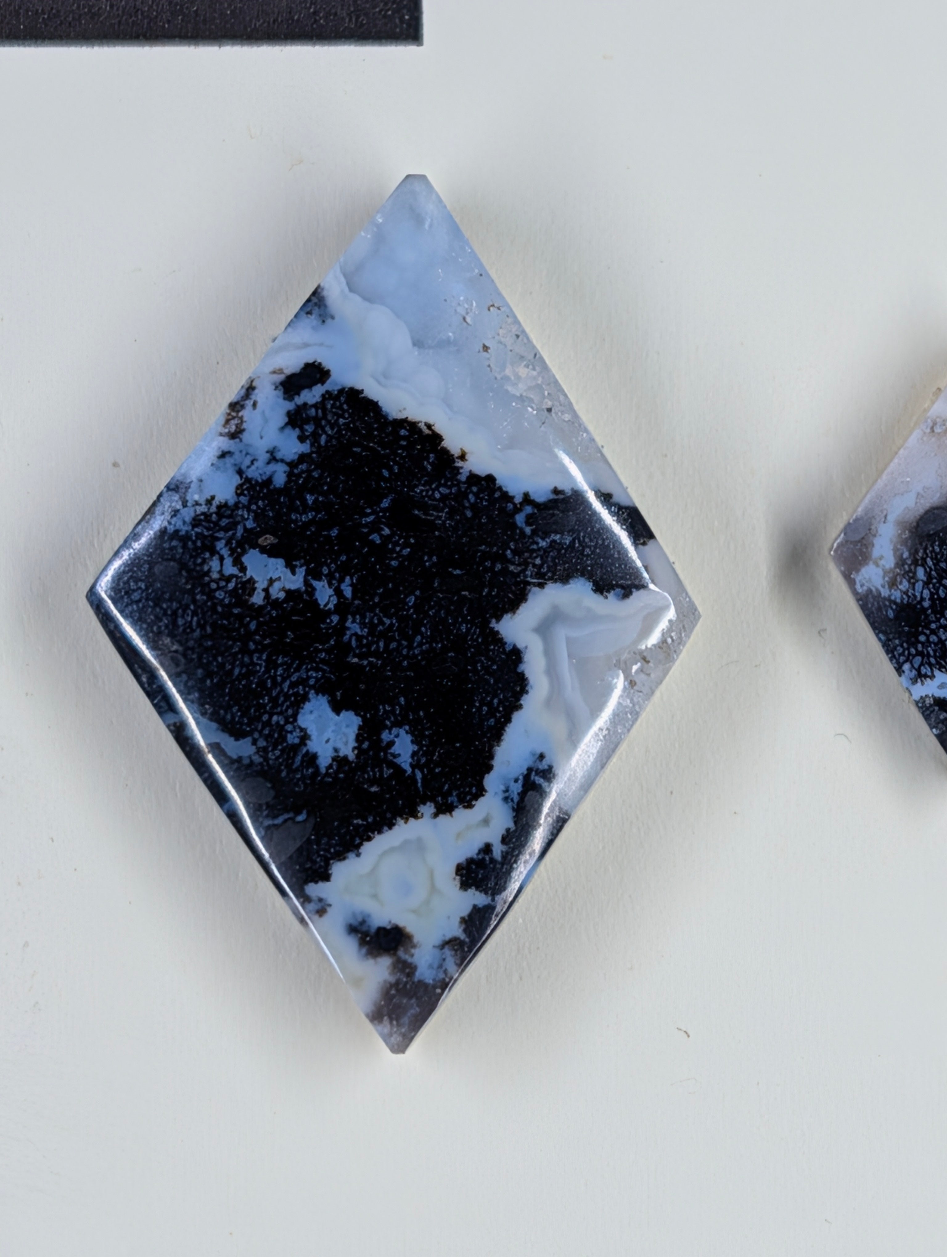 Rhombus Shape - Fossilized Palm Root - Design-Ready Set