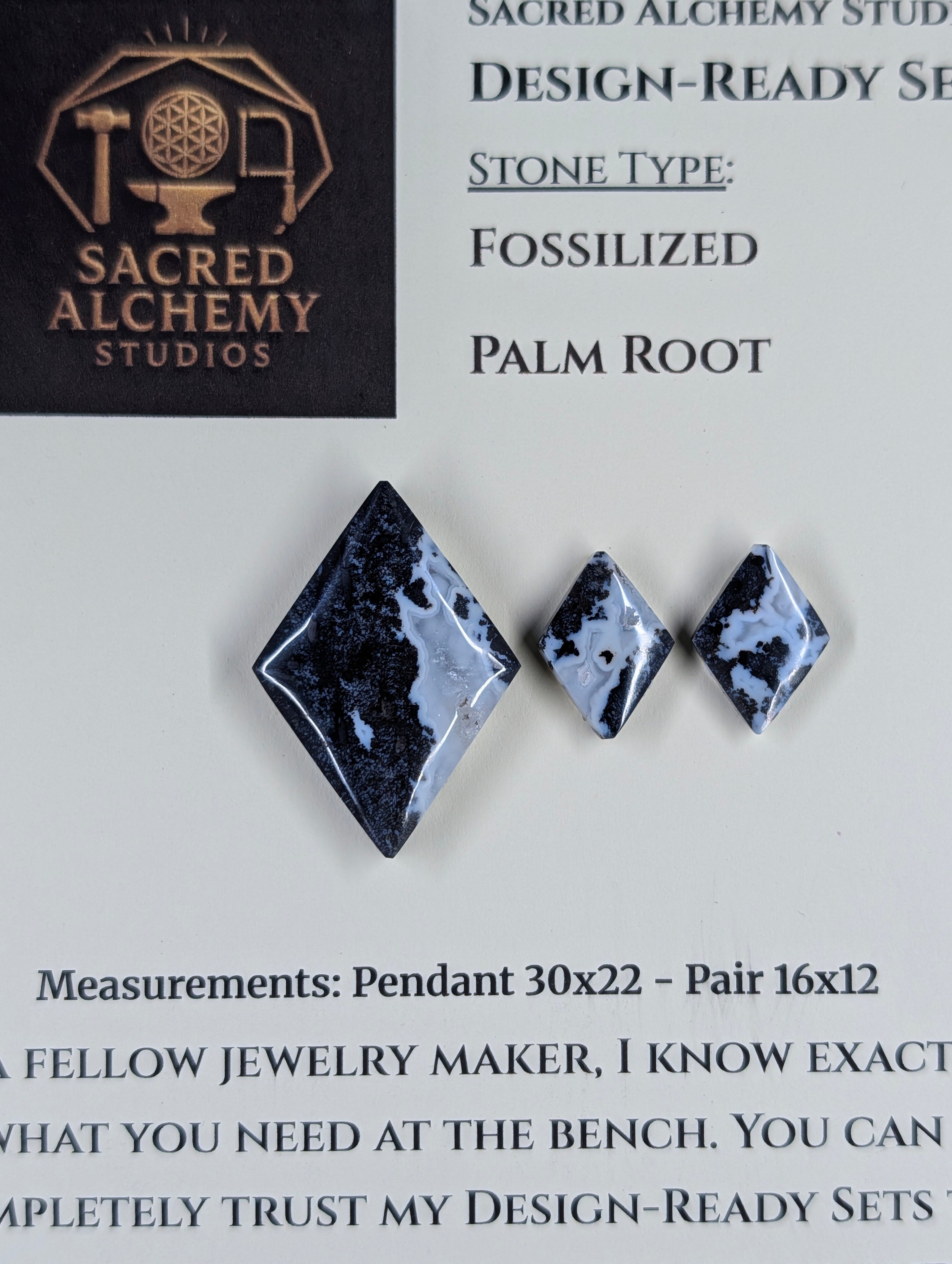 Rhombus Shape - Fossilized Palm Root - Design-Ready Set