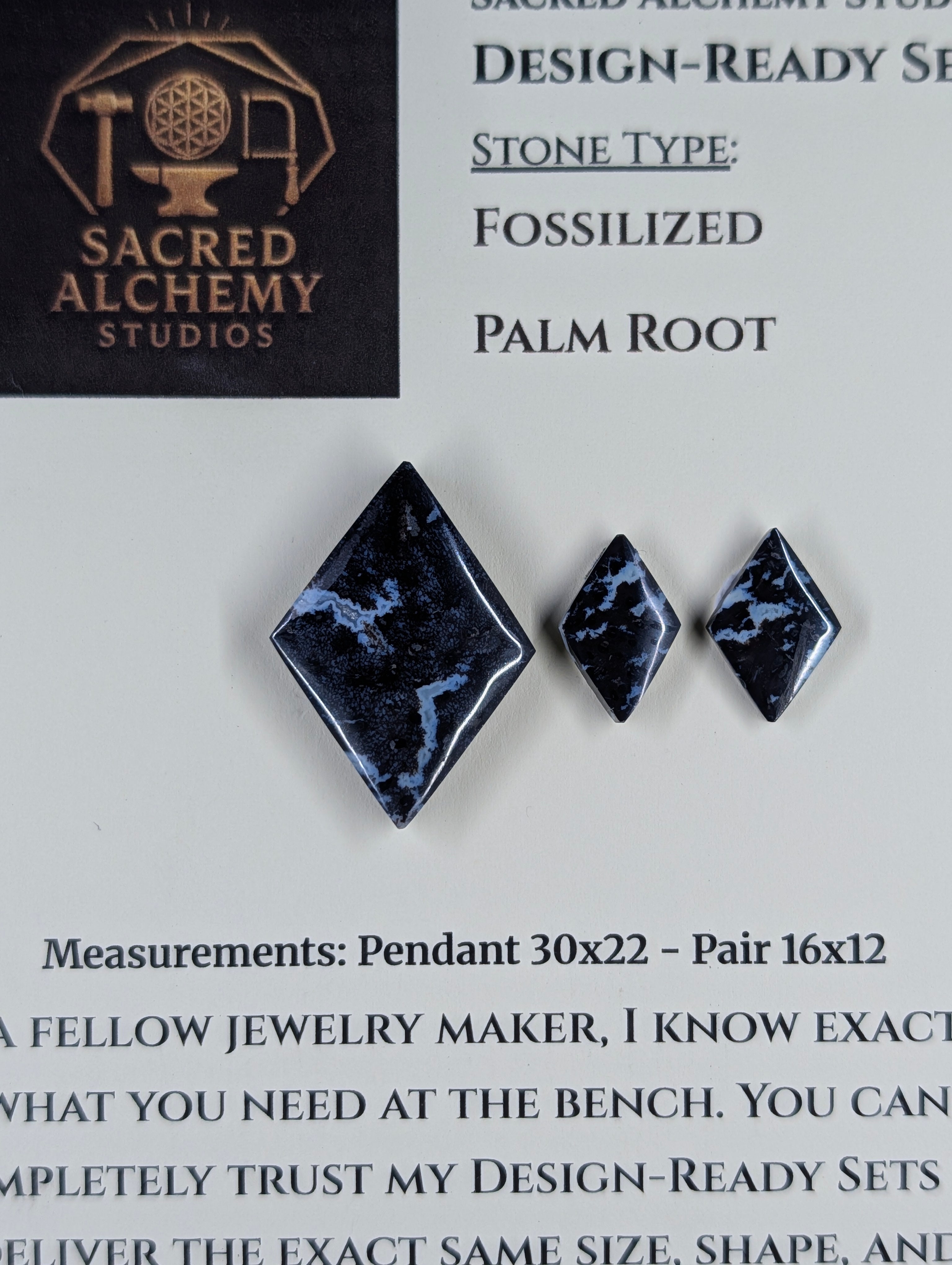 Rhombus Shape - Fossilized Palm Root - Design-Ready Set