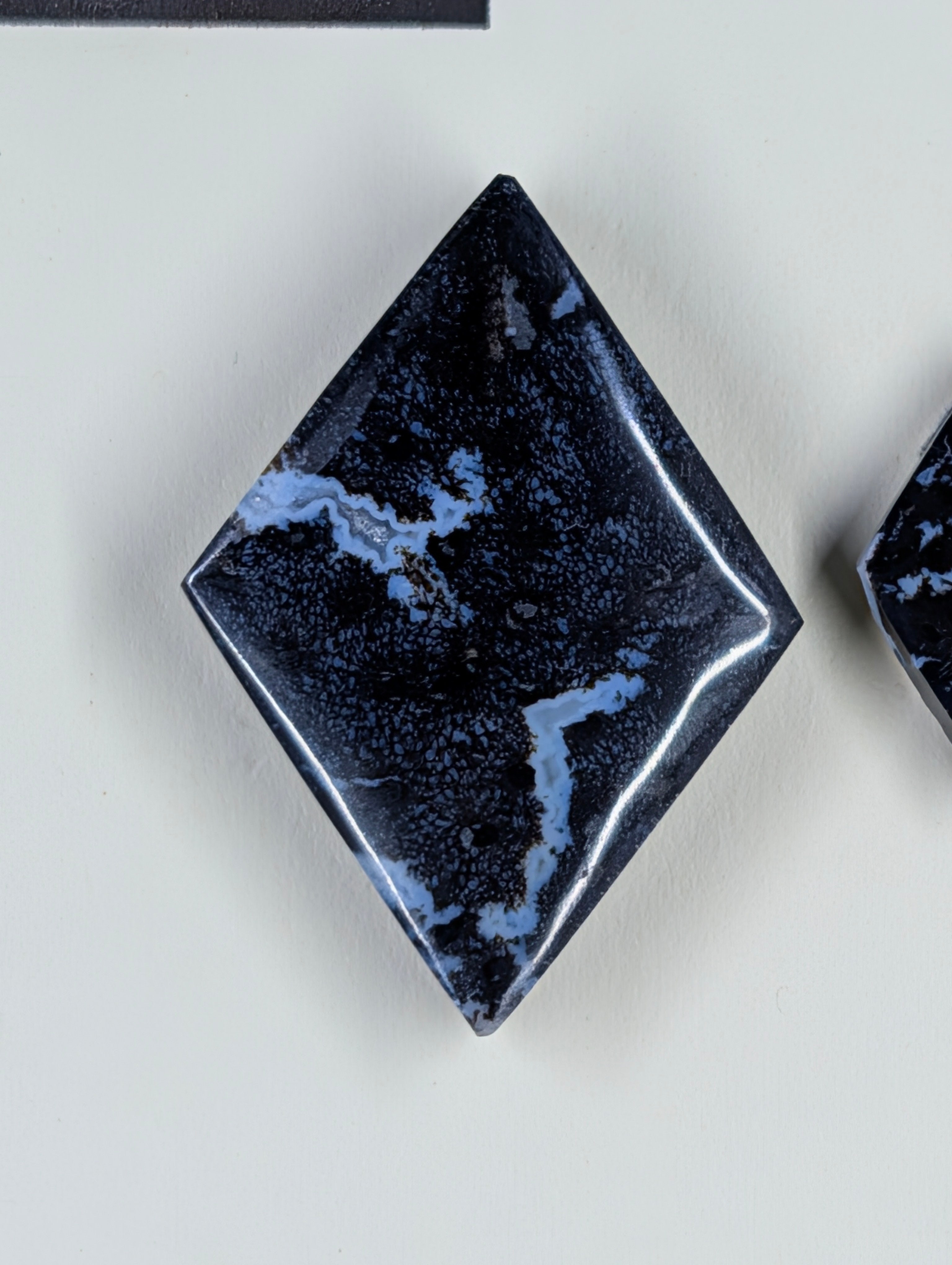 Rhombus Shape - Fossilized Palm Root - Design-Ready Set
