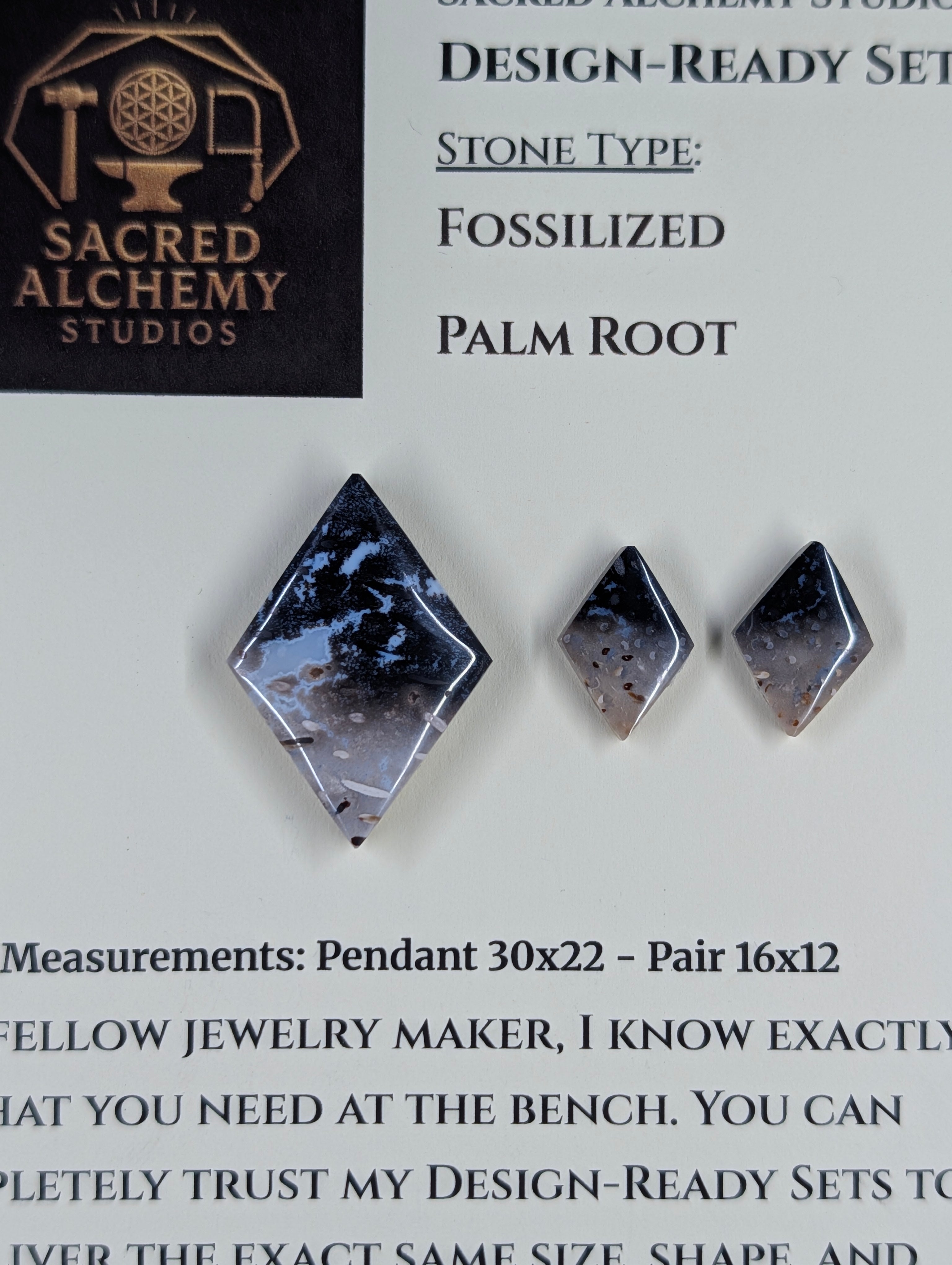 Rhombus Shape - Fossilized Palm Root - Design-Ready Set