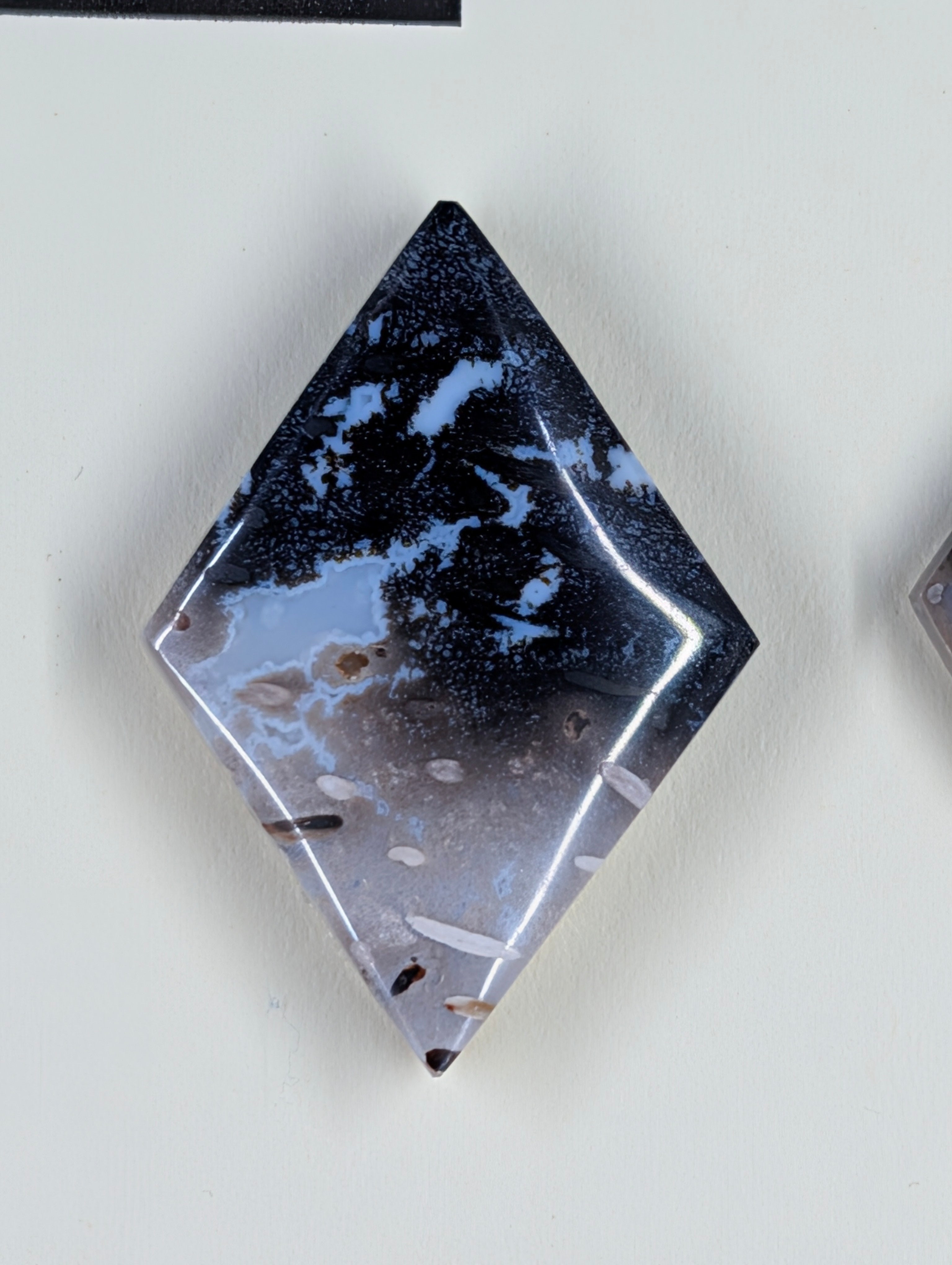 Rhombus Shape - Fossilized Palm Root - Design-Ready Set