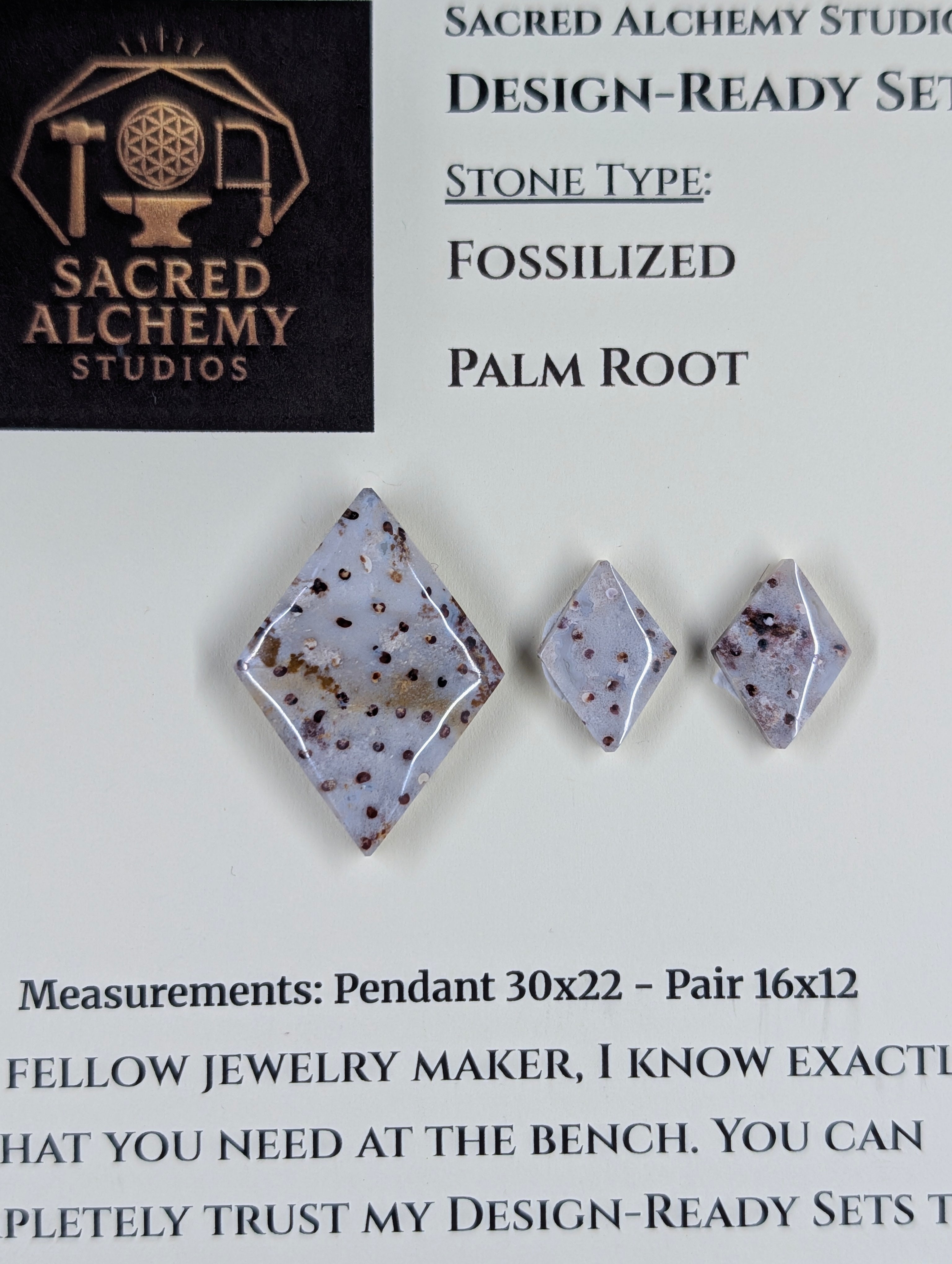 Rhombus Shape - Fossilized Palm Root - Design-Ready Set