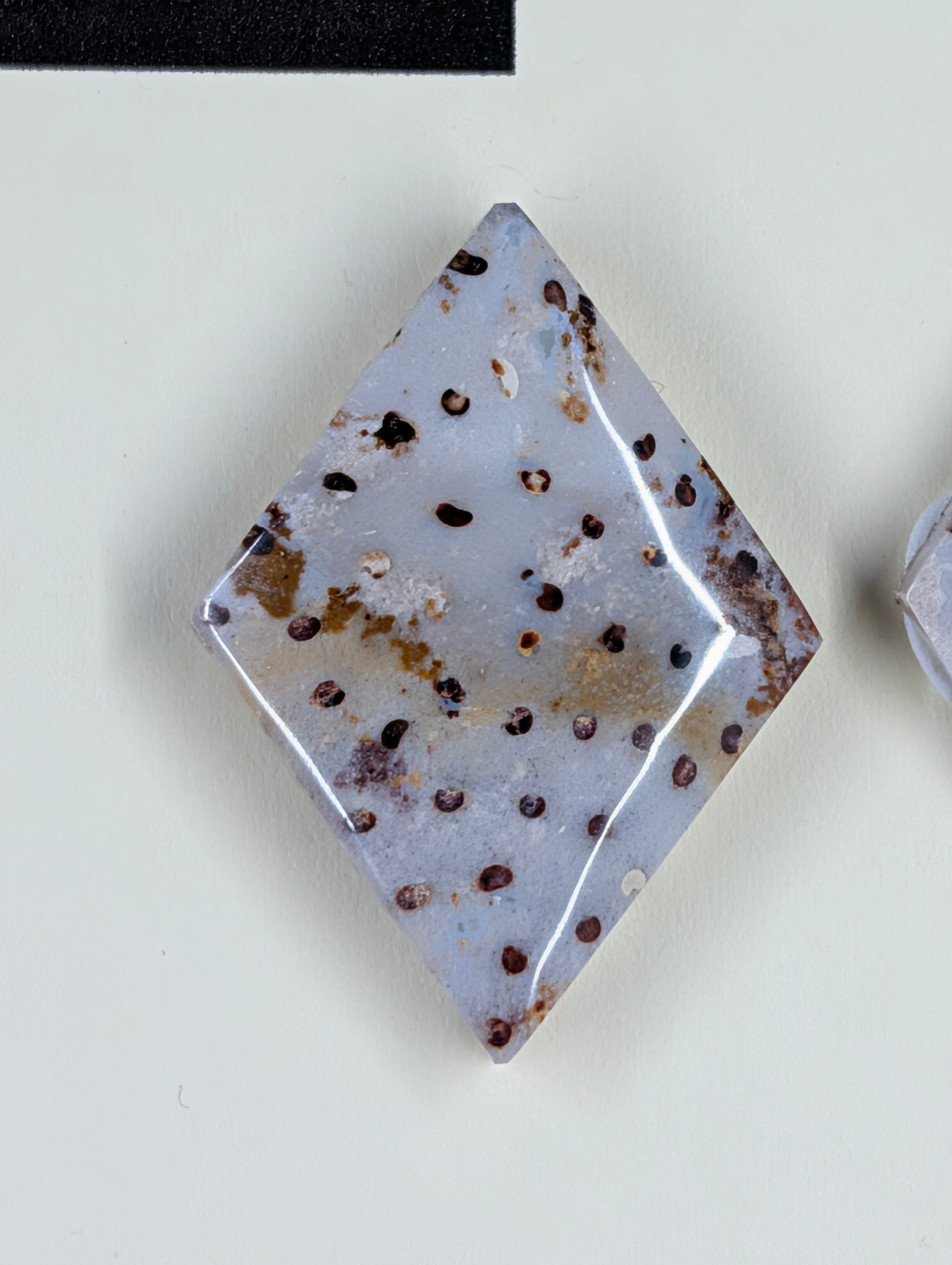 Rhombus Shape - Fossilized Palm Root - Design-Ready Set