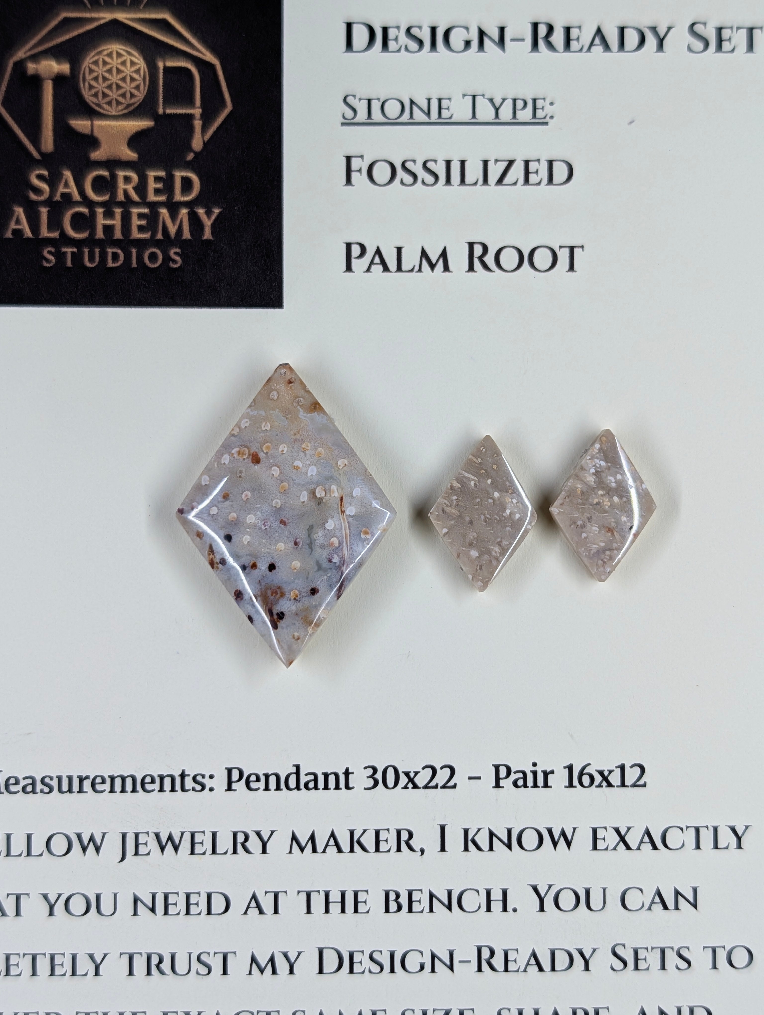 Rhombus Shape - Fossilized Palm Root - Design-Ready Set