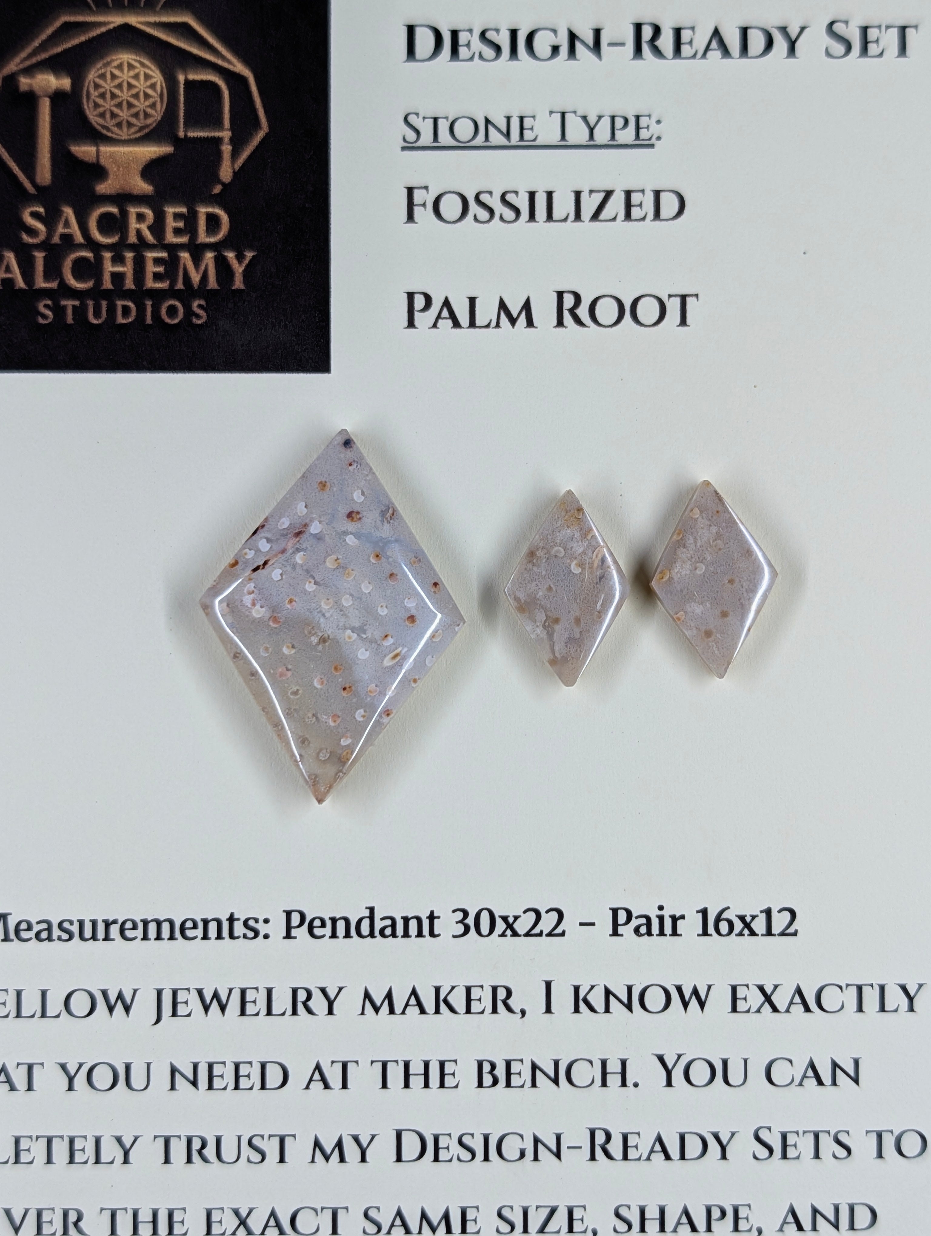 Rhombus Shape - Fossilized Palm Root - Design-Ready Set