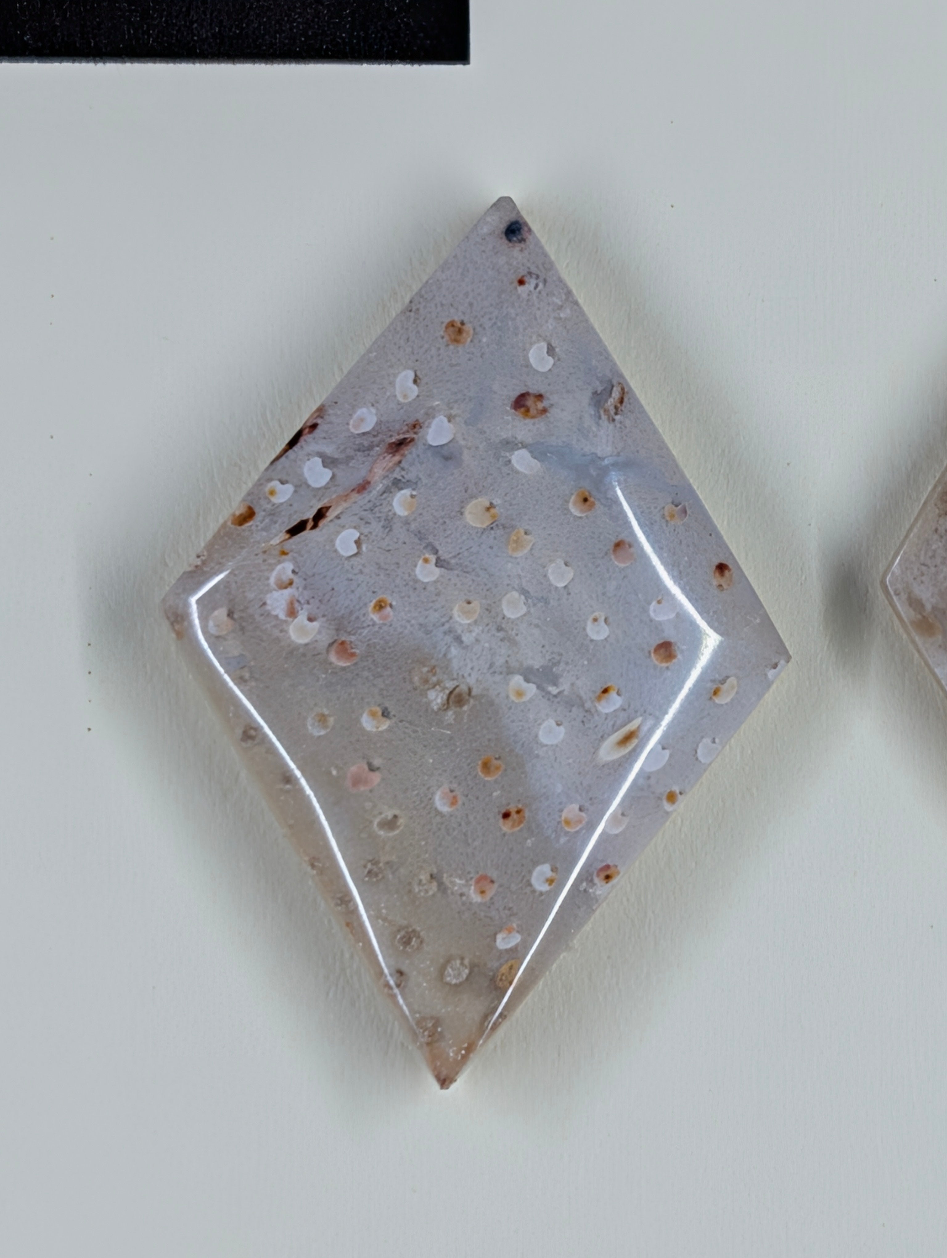 Rhombus Shape - Fossilized Palm Root - Design-Ready Set