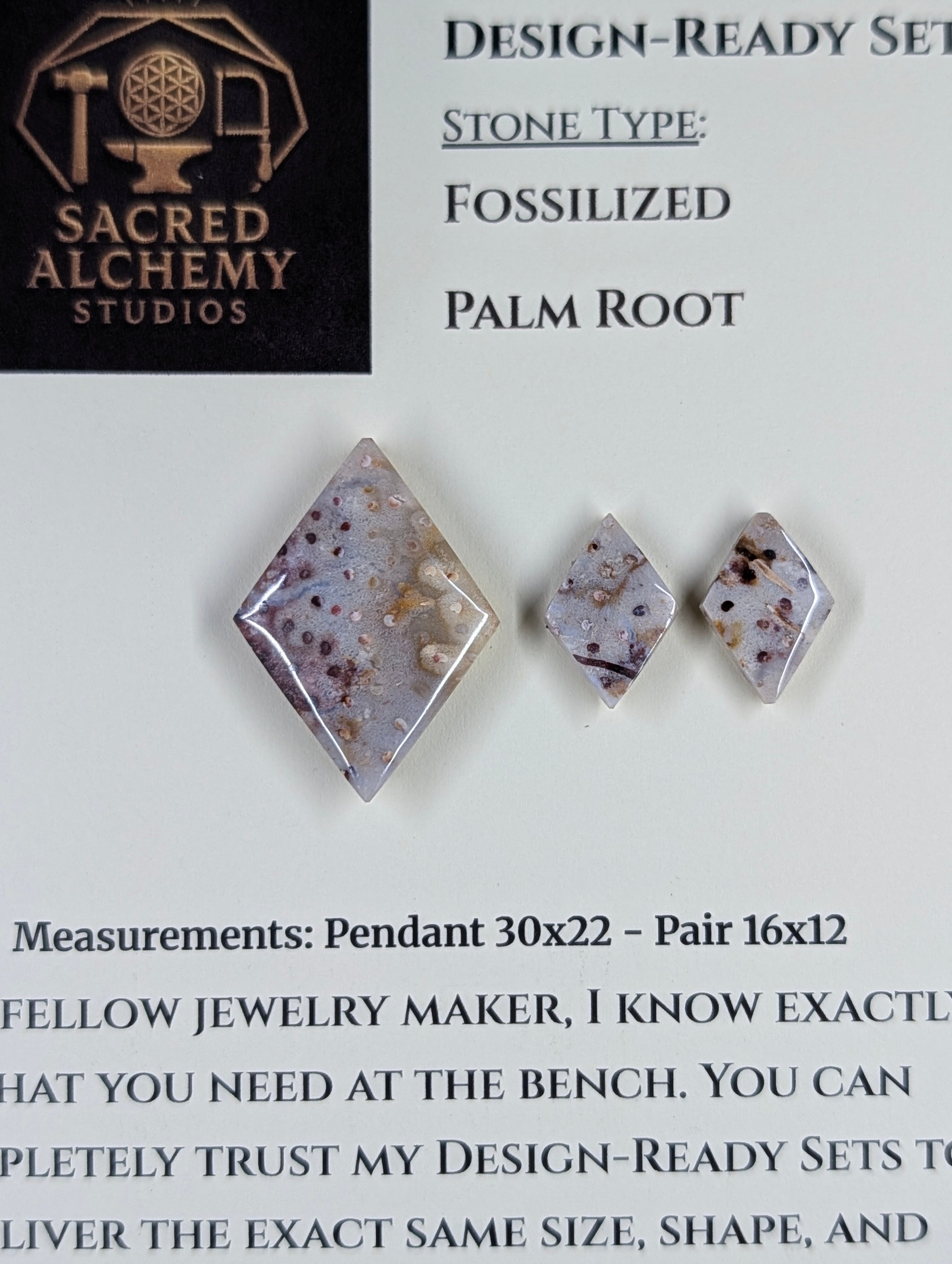 Rhombus Shape - Fossilized Palm Root - Design-Ready Set