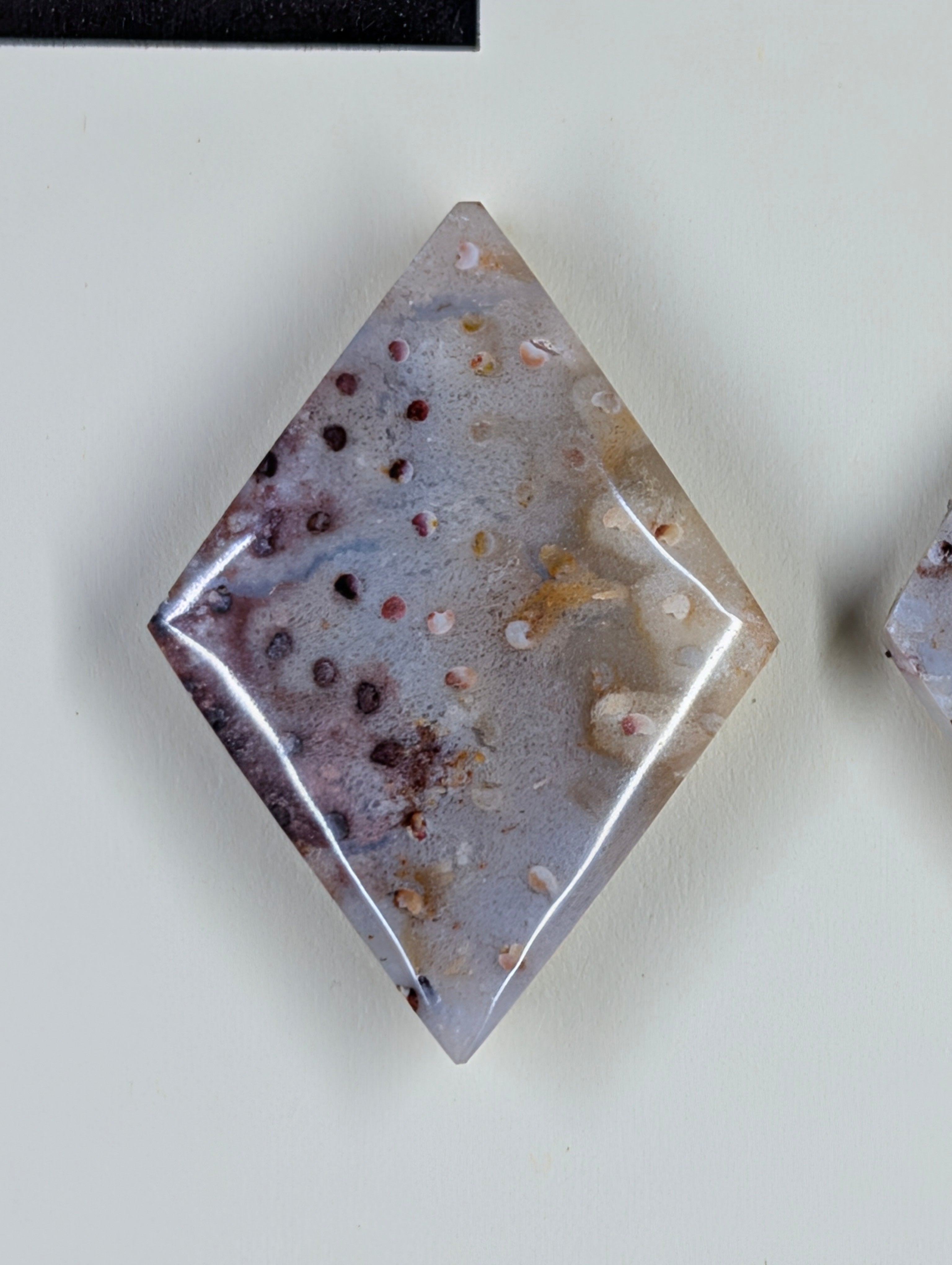 Rhombus Shape - Fossilized Palm Root - Design-Ready Set