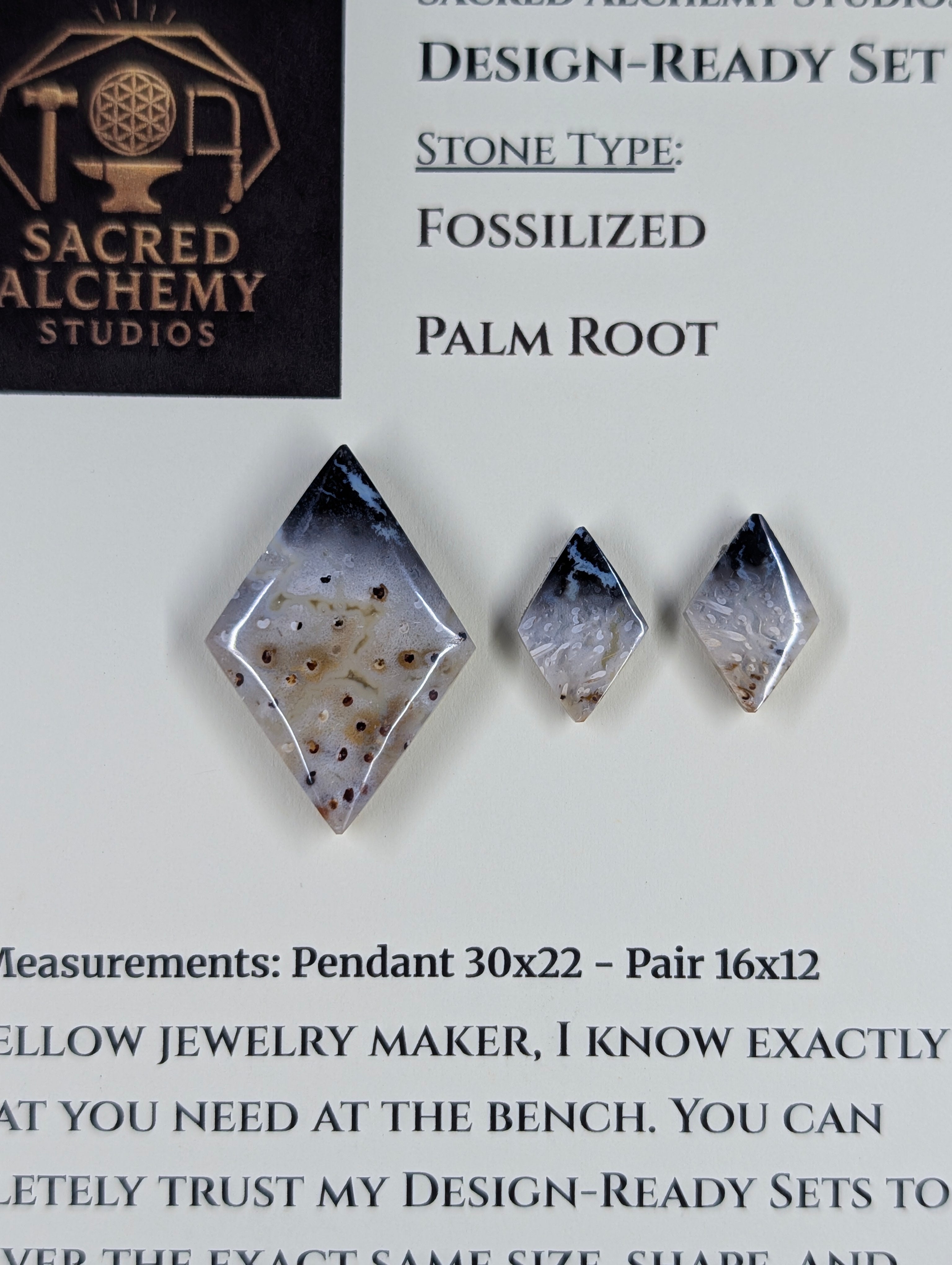 Rhombus Shape - Fossilized Palm Root - Design-Ready Set