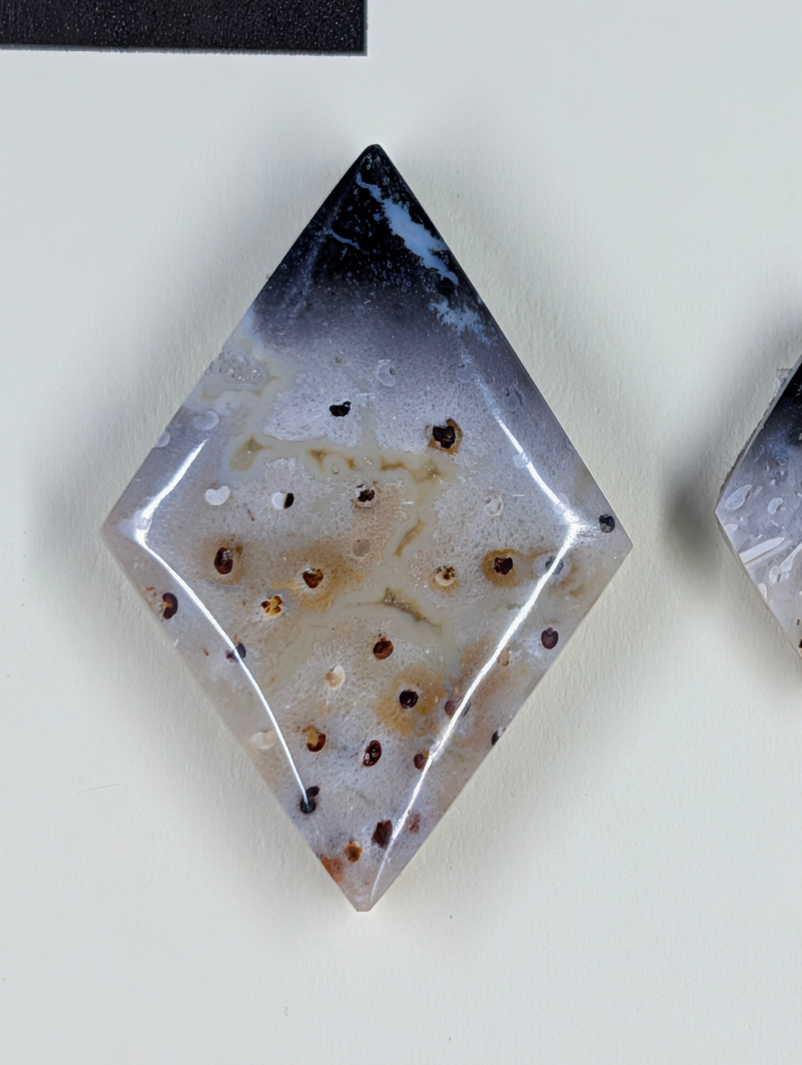 Rhombus Shape - Fossilized Palm Root - Design-Ready Set